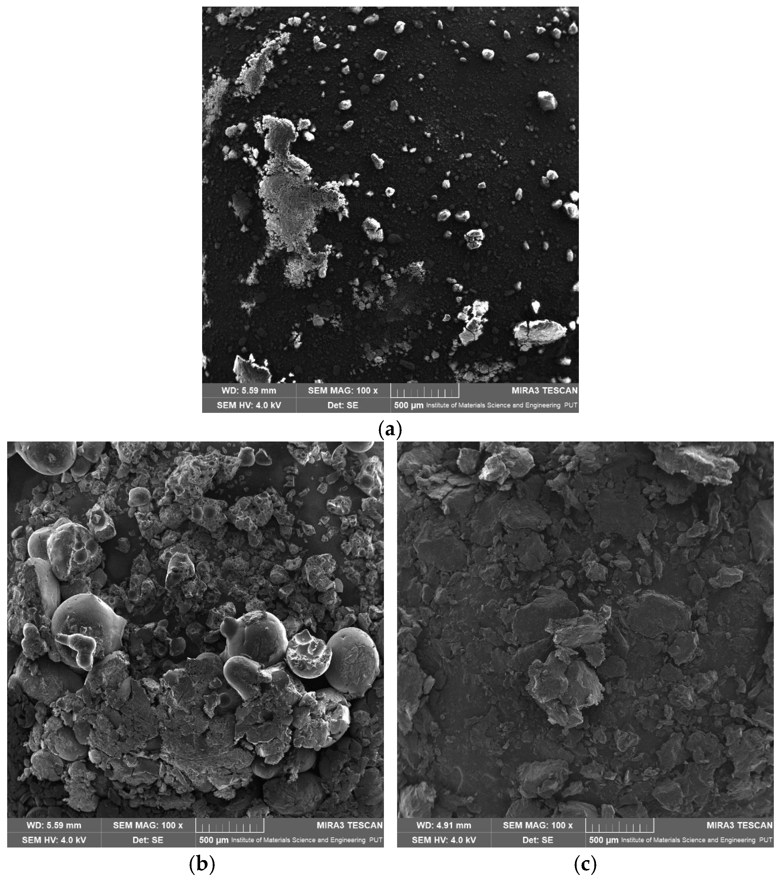 Ijms 26 00566 g011a Ijms 26 00566 g011a