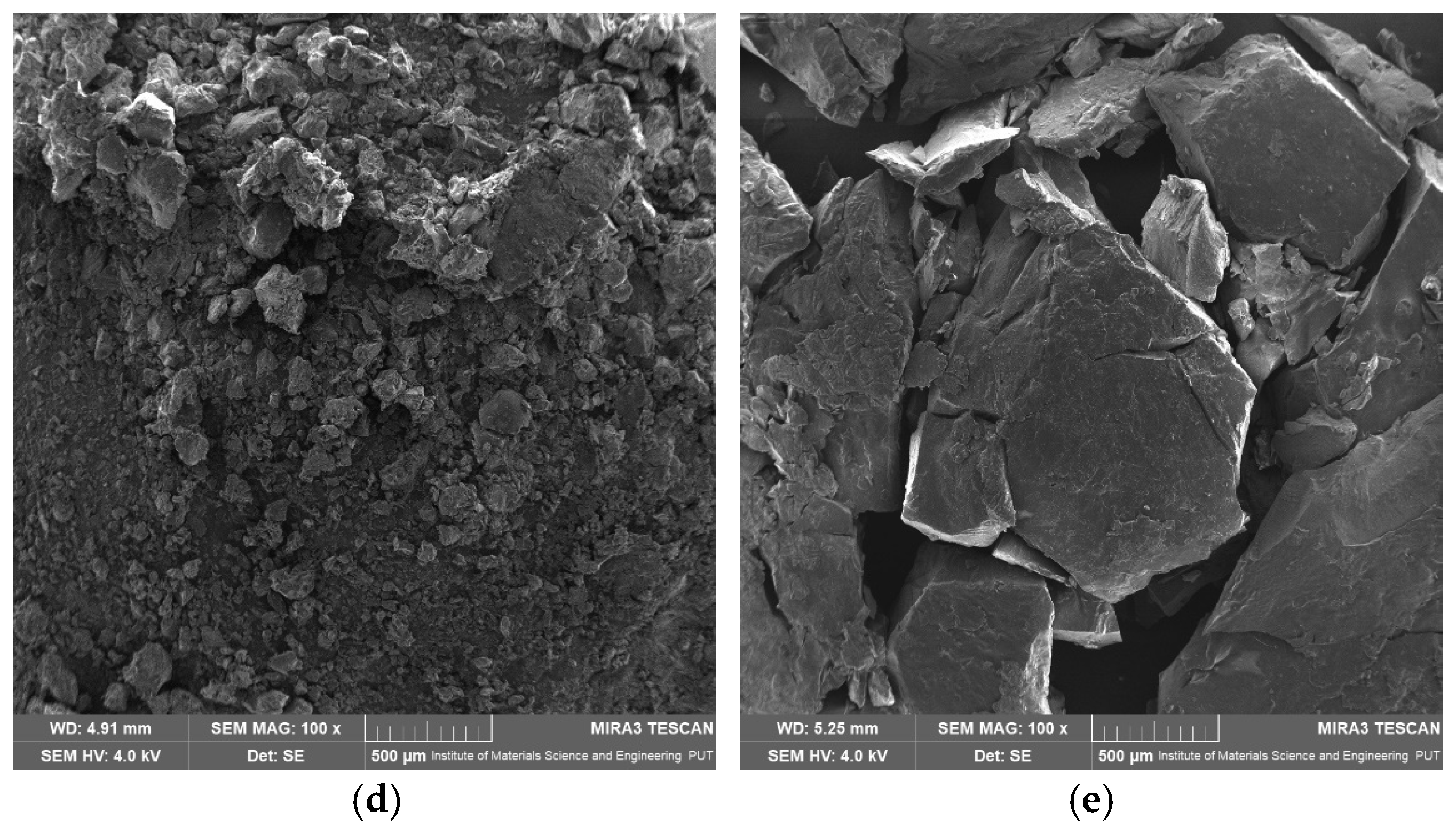 Ijms 26 00566 g011b Ijms 26 00566 g011b