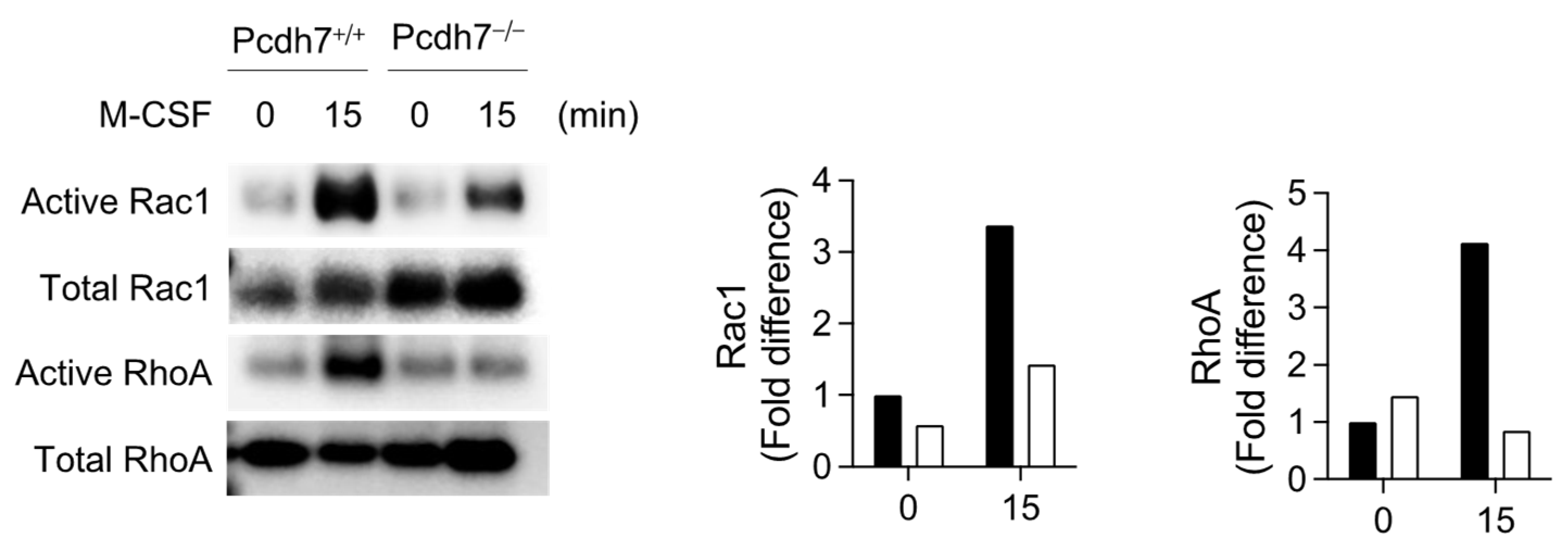 Ijms 26 00572 g002 Ijms 26 00572 g002