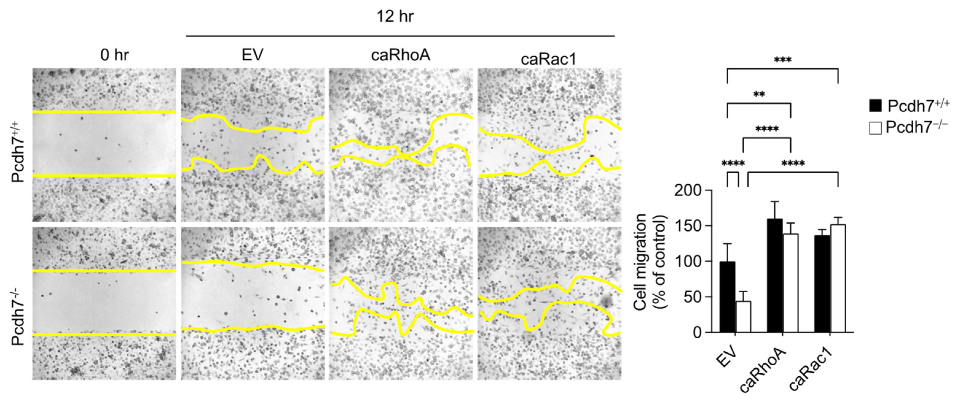 Ijms 26 00572 g003 Ijms 26 00572 g003