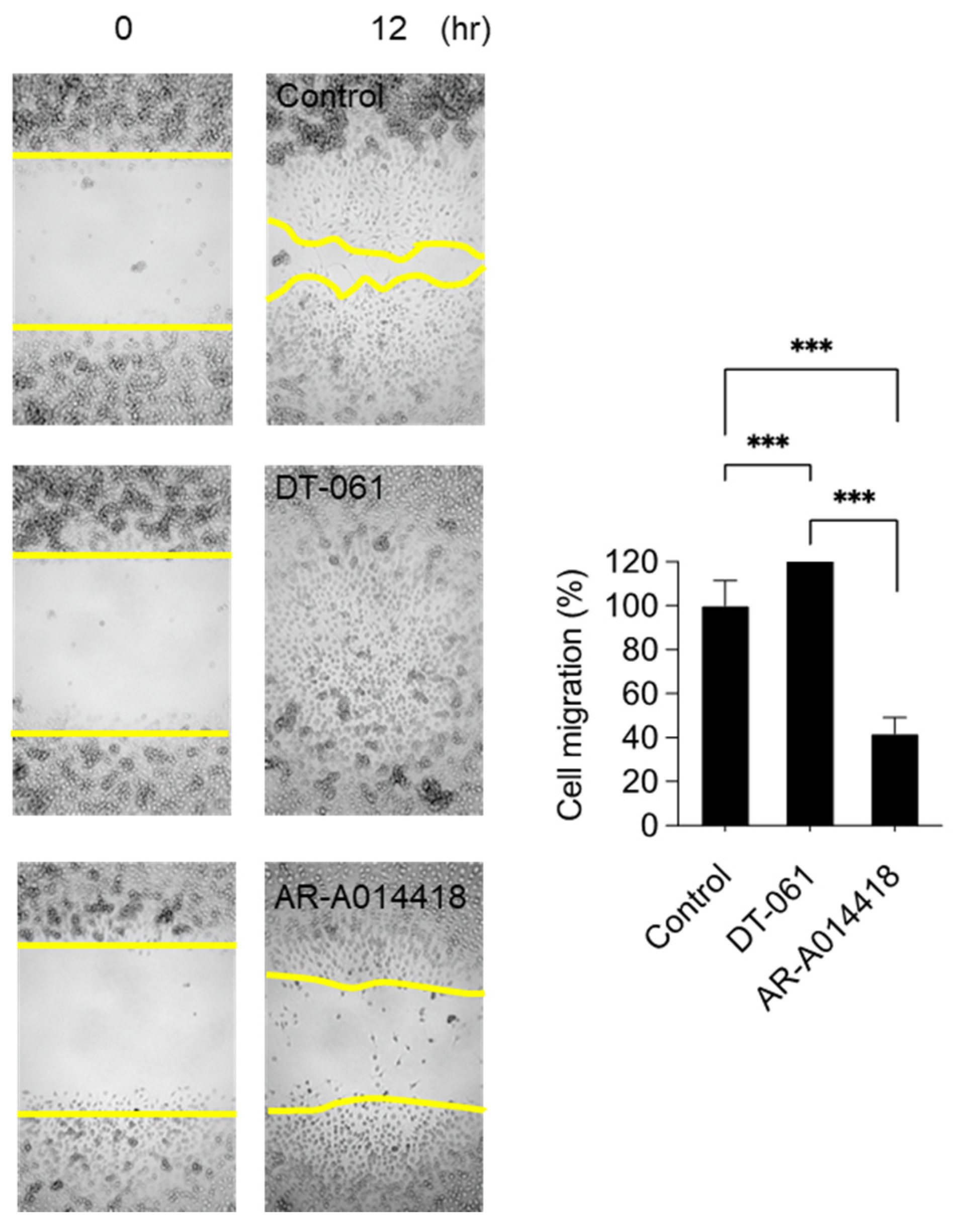 Ijms 26 00572 g004 Ijms 26 00572 g004