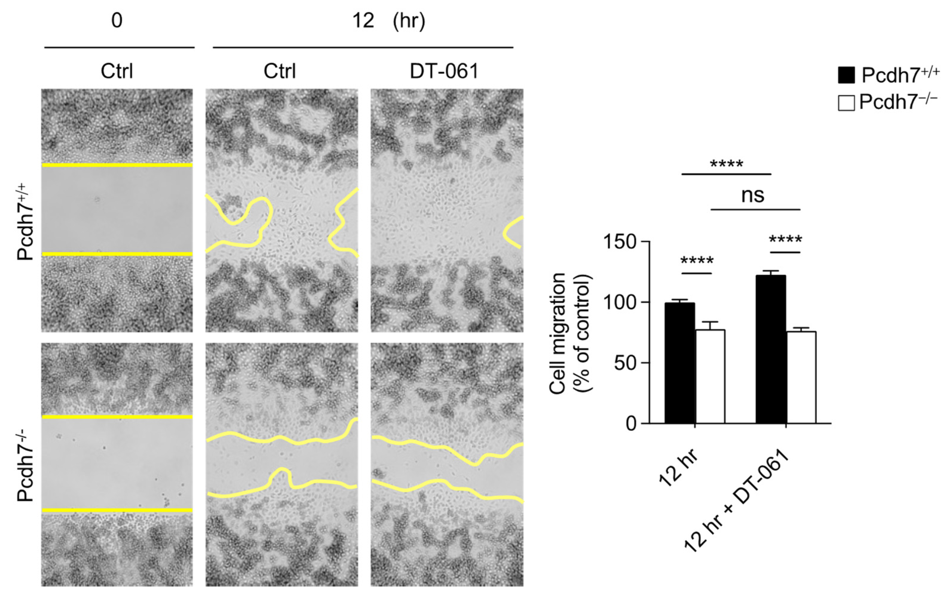 Ijms 26 00572 g005 Ijms 26 00572 g005