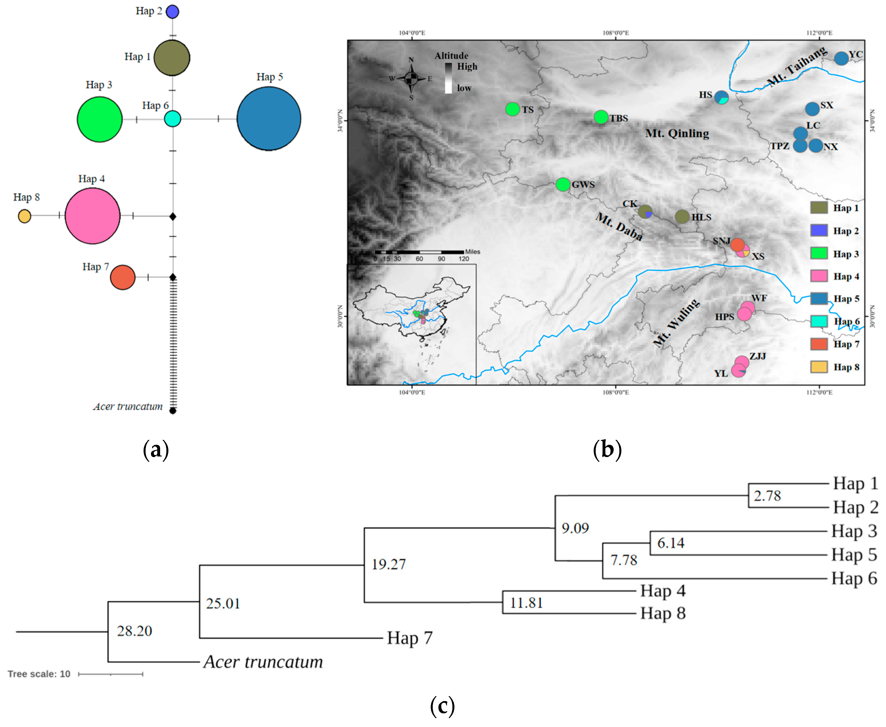 Ijms 26 00574 g004 Ijms 26 00574 g004