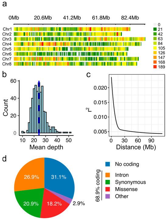 Organic Matter Counteracts the Enhancement of Cr(III