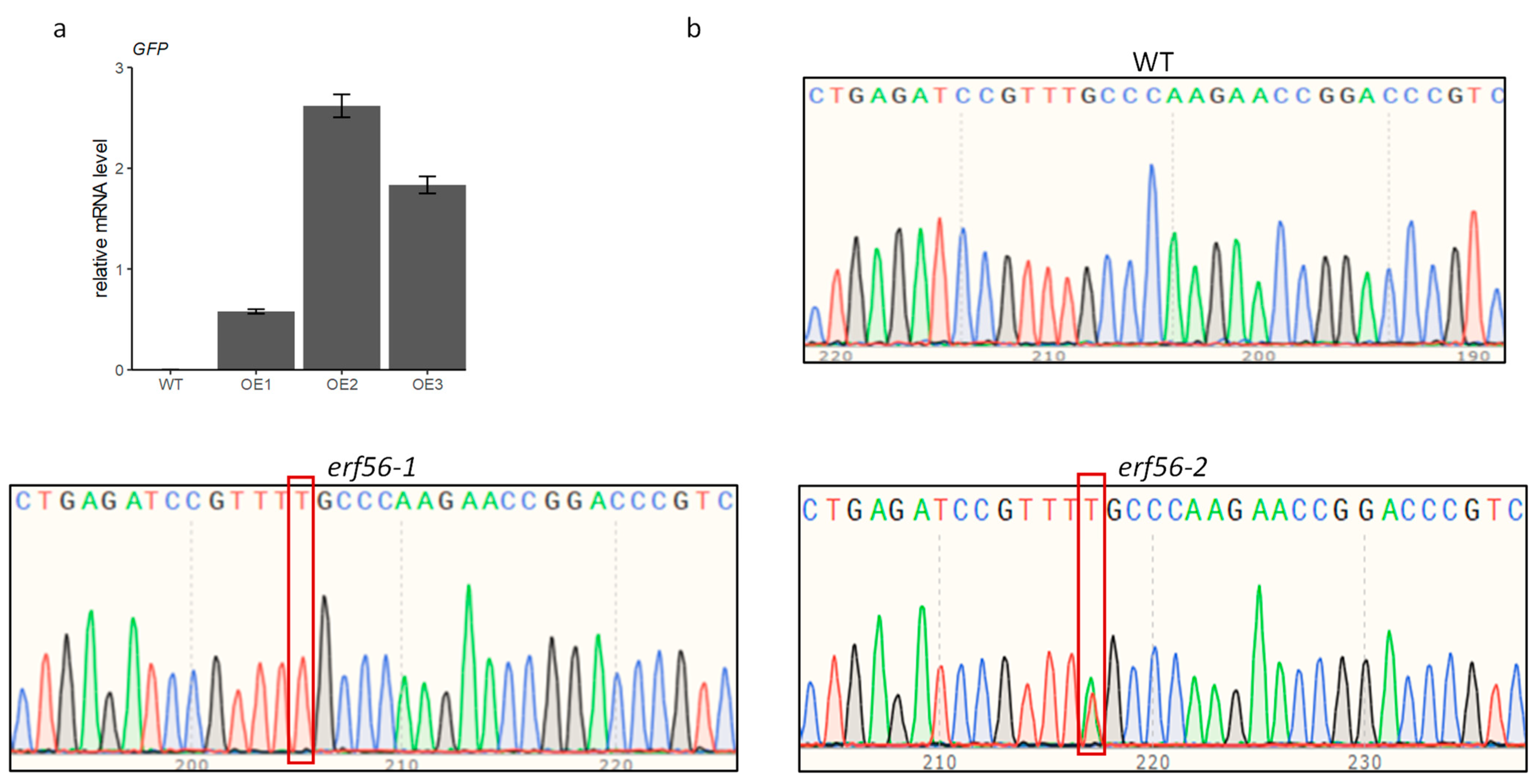 Ijms 26 00613 g002 Ijms 26 00613 g002
