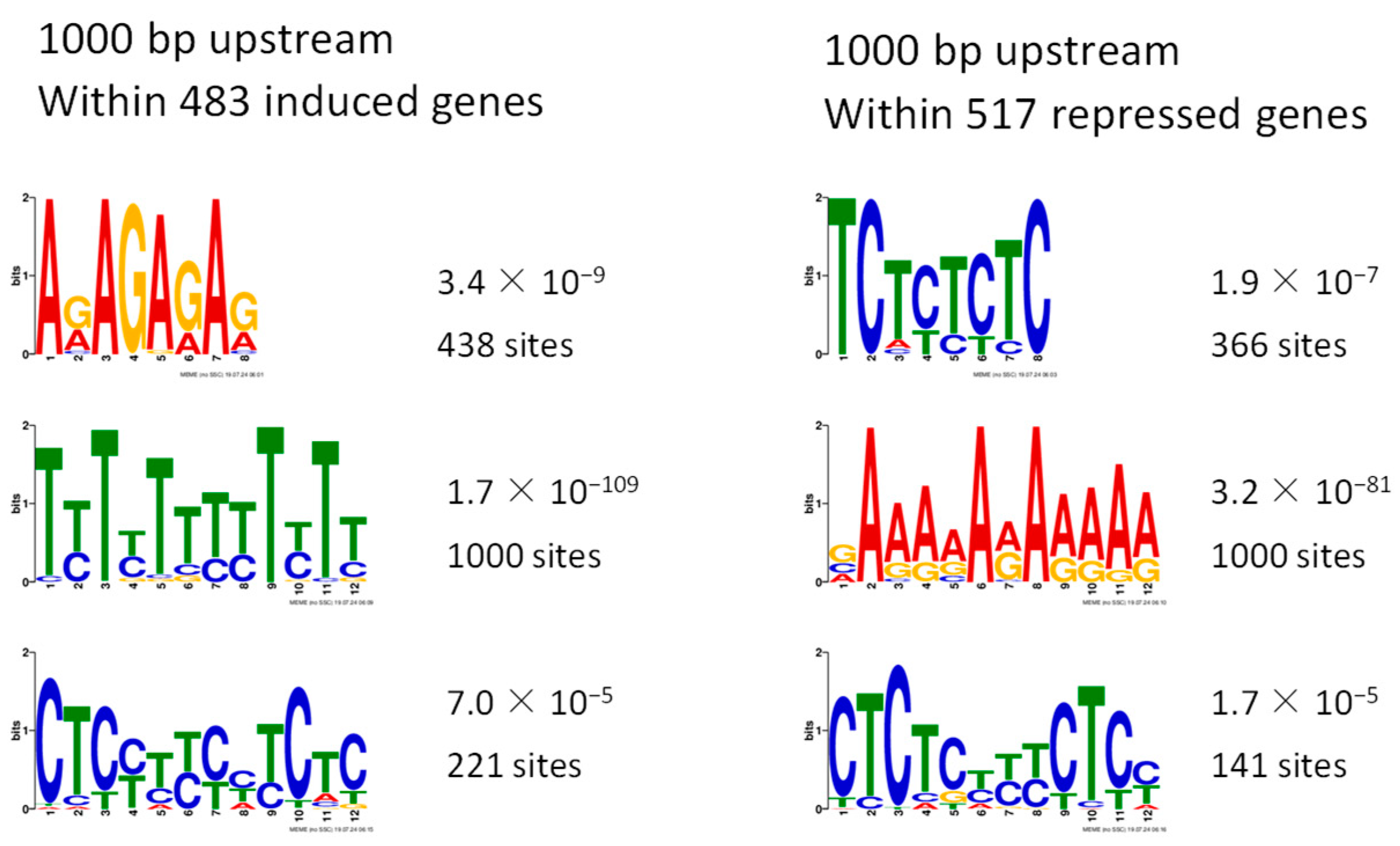 Ijms 26 00613 g008 Ijms 26 00613 g008