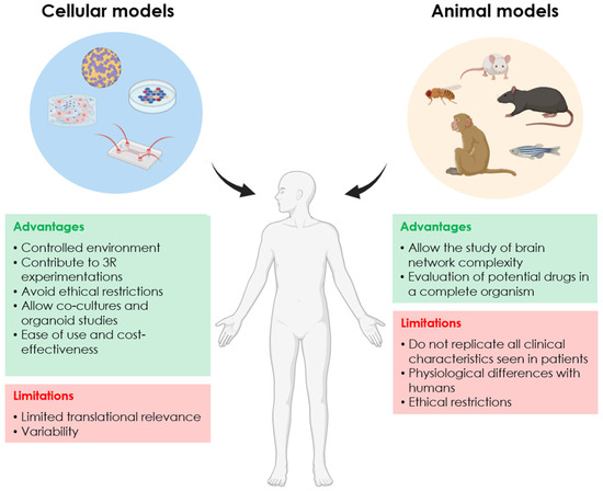 Two- and Three-Dimensional In Vitro Models of Parkinson’s 