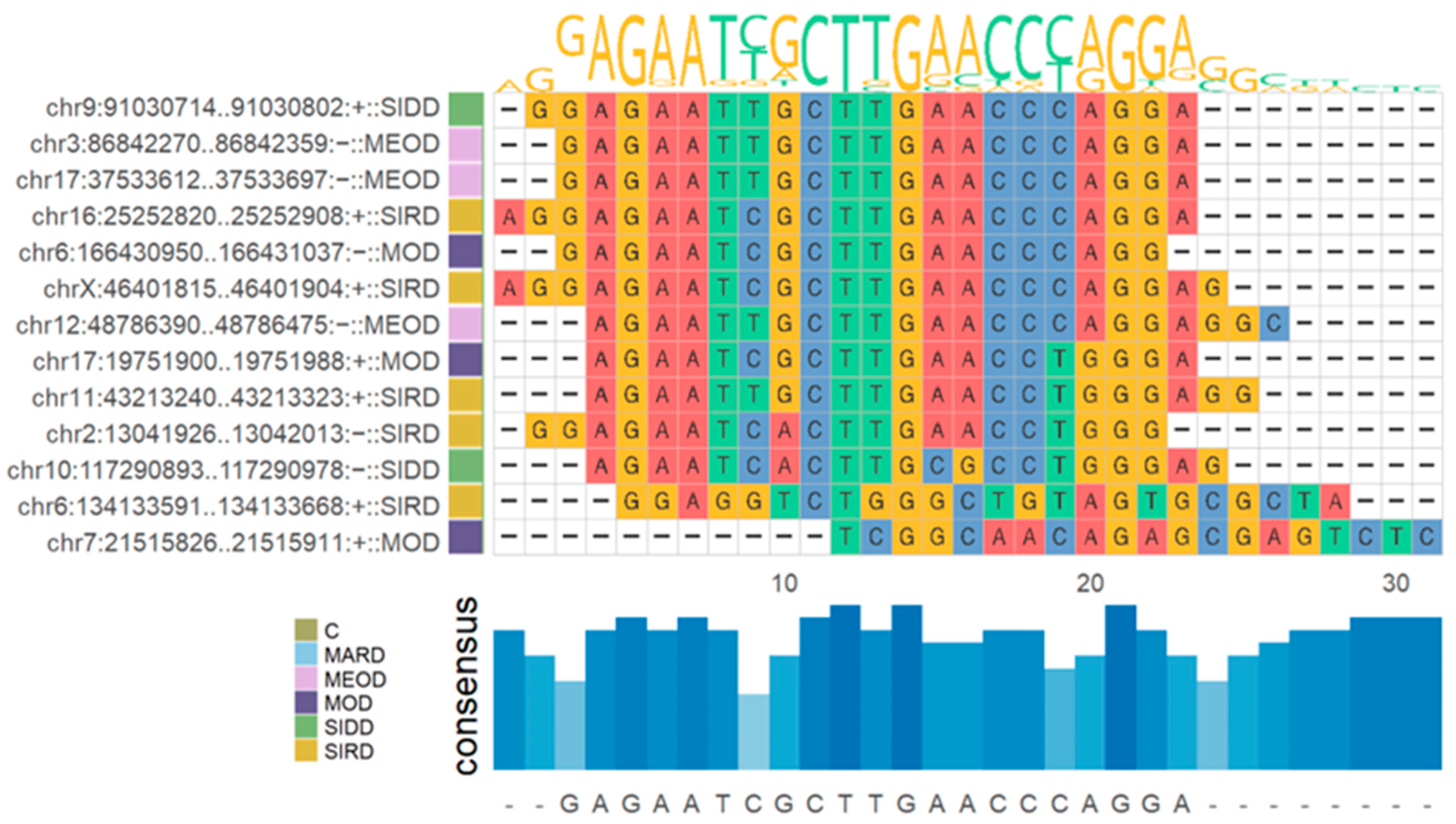 Ijms 26 00637 g005 Ijms 26 00637 g005