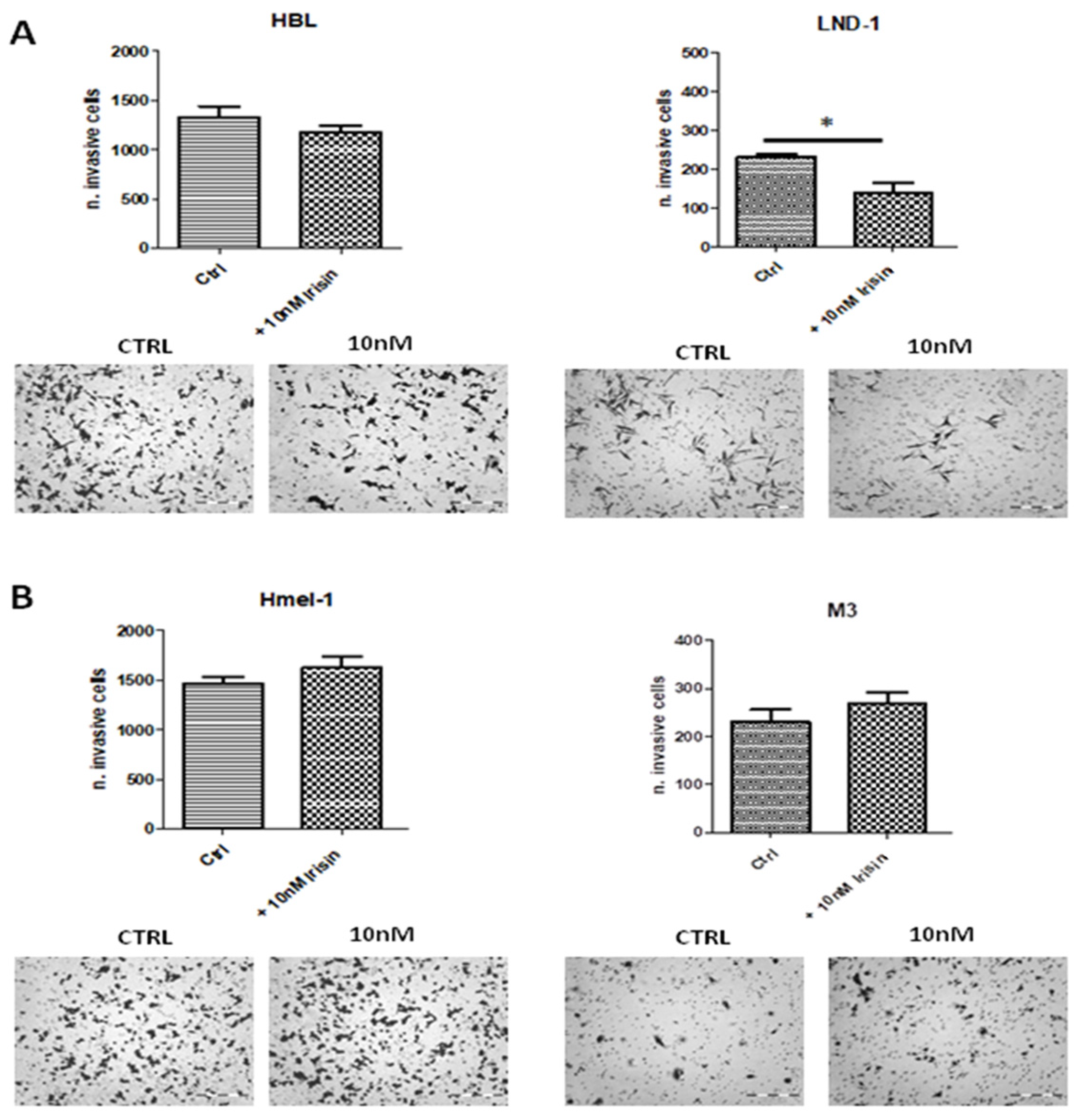 Ijms 26 00652 g002 Ijms 26 00652 g002
