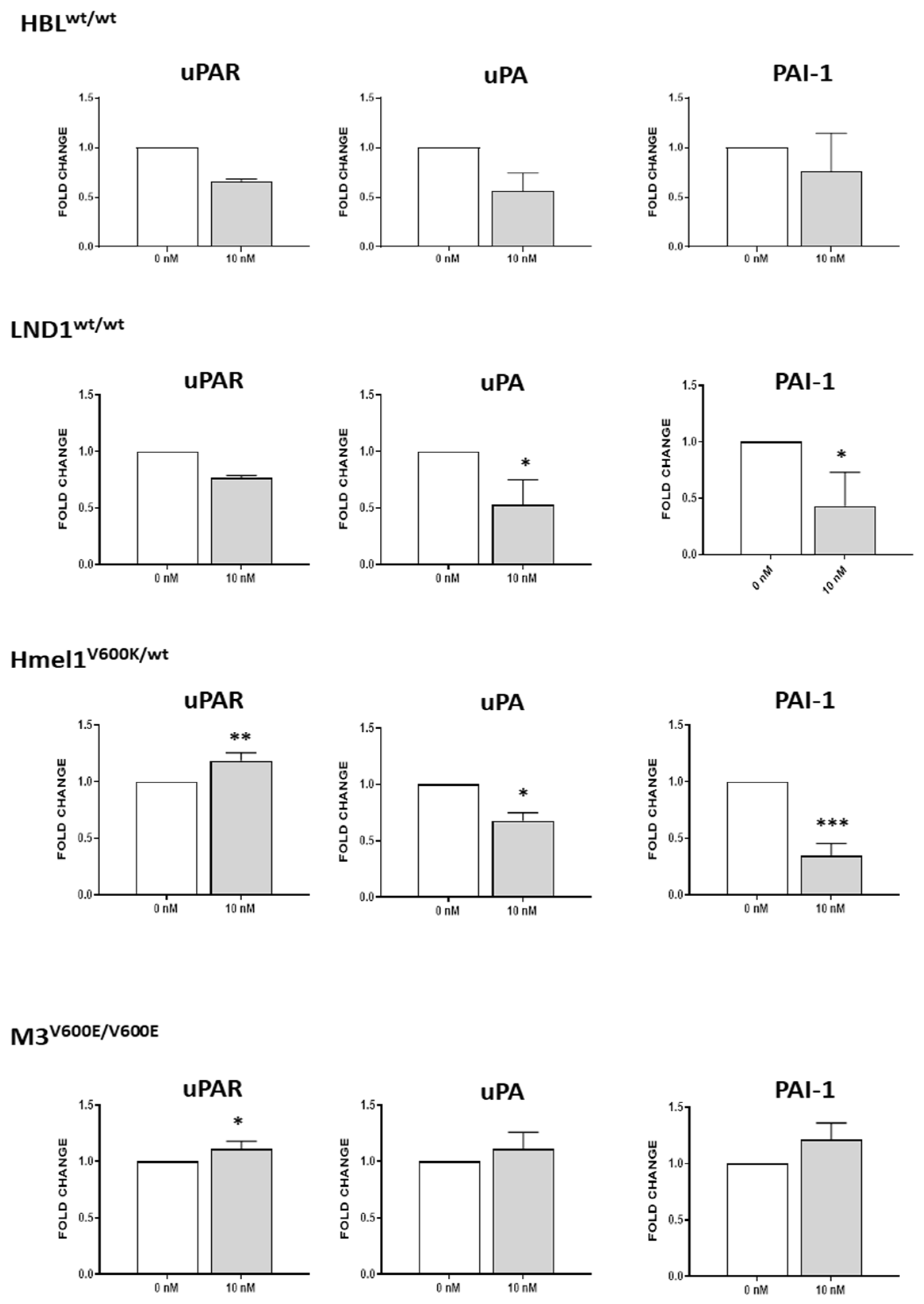 Ijms 26 00652 g004 Ijms 26 00652 g004