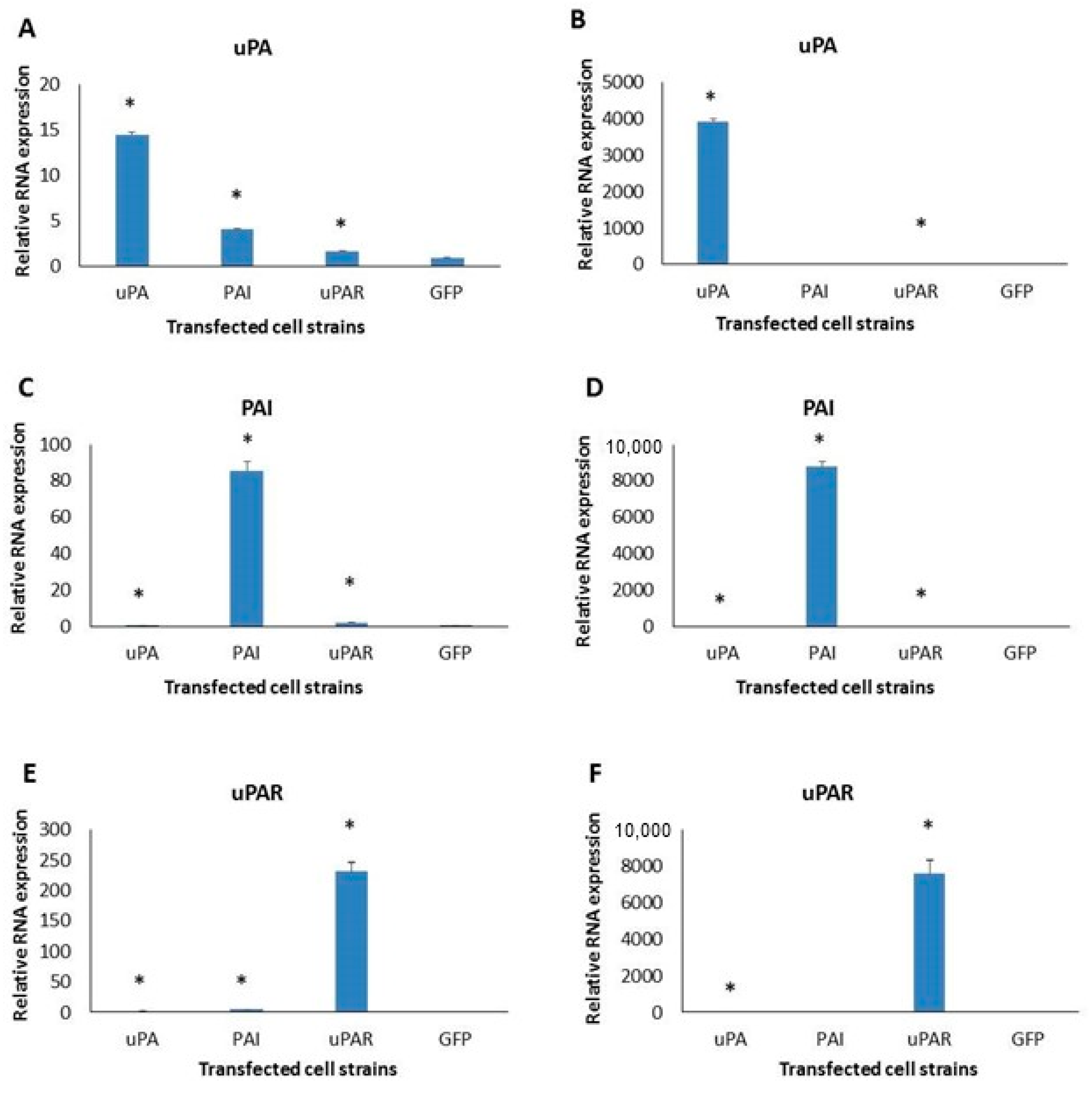 Ijms 26 00675 g002 Ijms 26 00675 g002