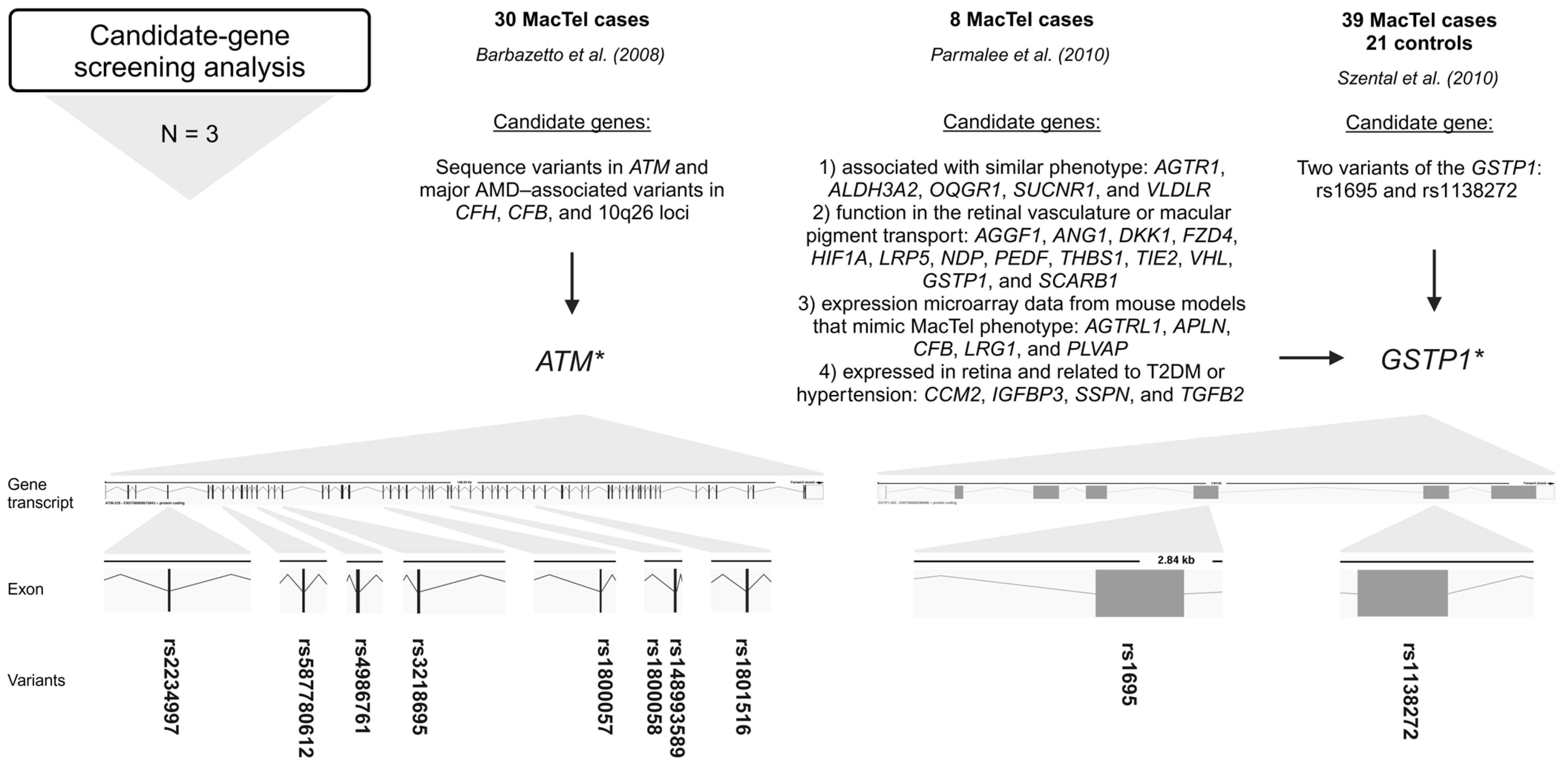 Ijms 26 00684 g003 Ijms 26 00684 g003