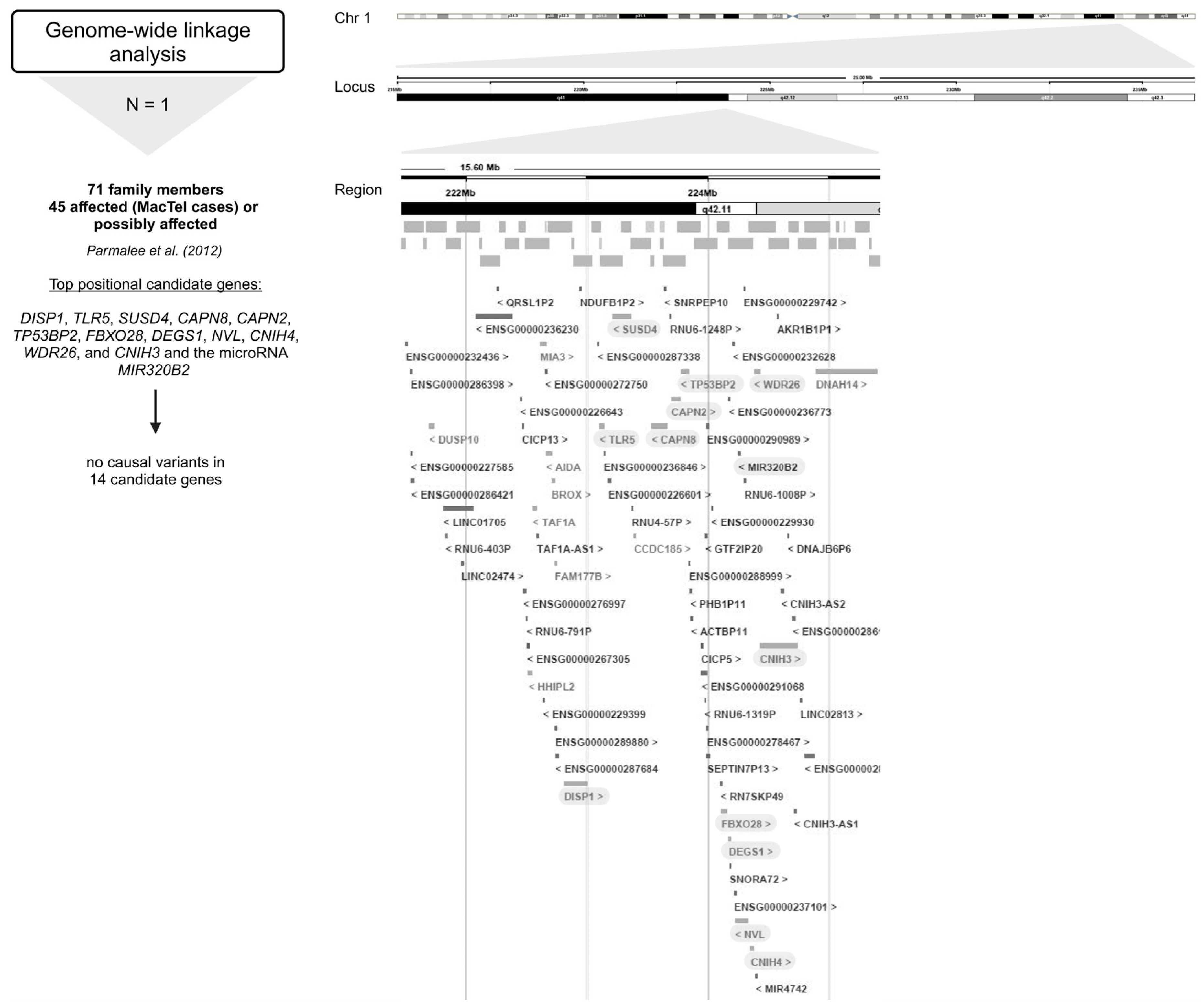 Ijms 26 00684 g004 Ijms 26 00684 g004