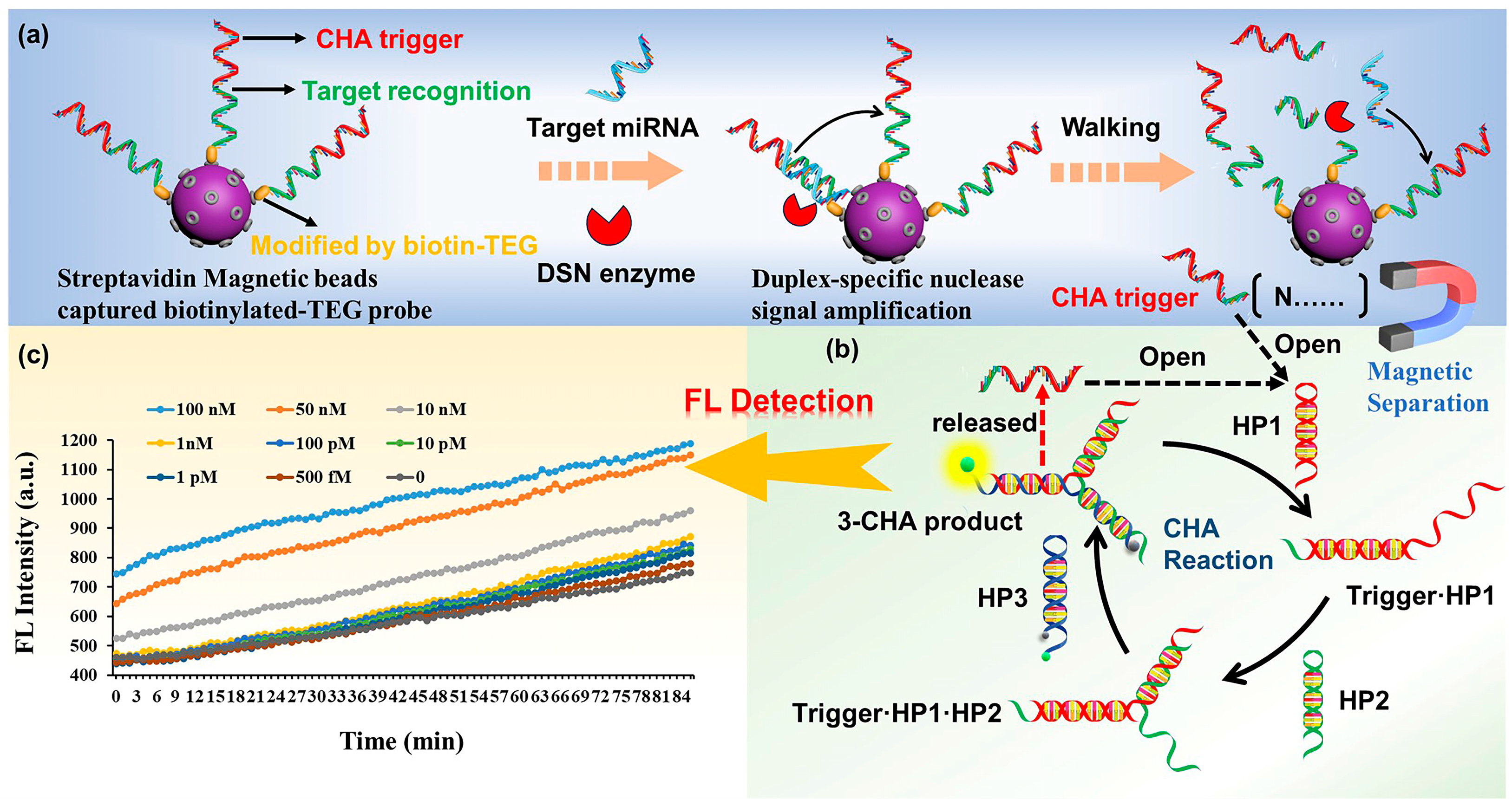 Ijms 26 00689 sch001