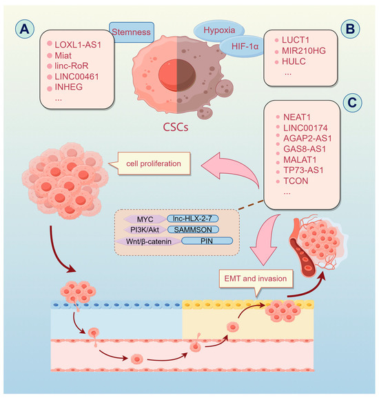 Long Non-Coding RNAs in Malignant Human Brain Tumors