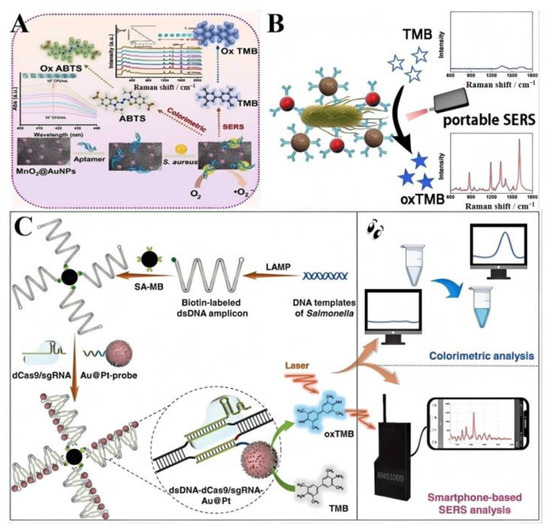 Advances and Future Trends in Nanozyme-Based SERS Sensors for Food ...