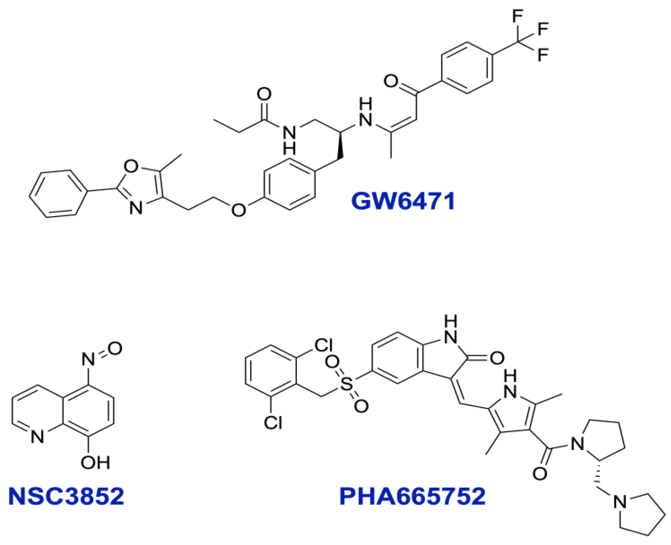 Ijms 26 00736 g004 Ijms 26 00736 g004