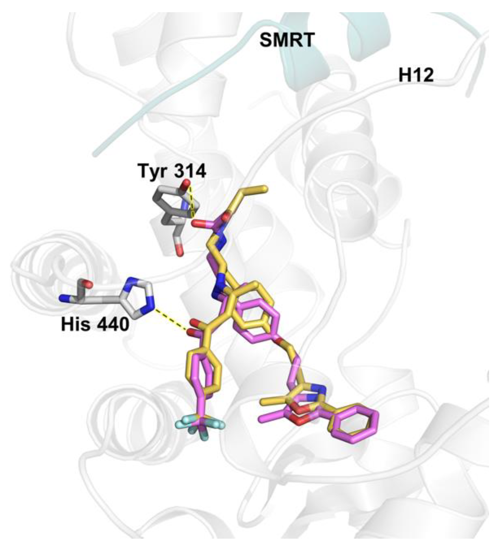 Ijms 26 00736 g005 Ijms 26 00736 g005