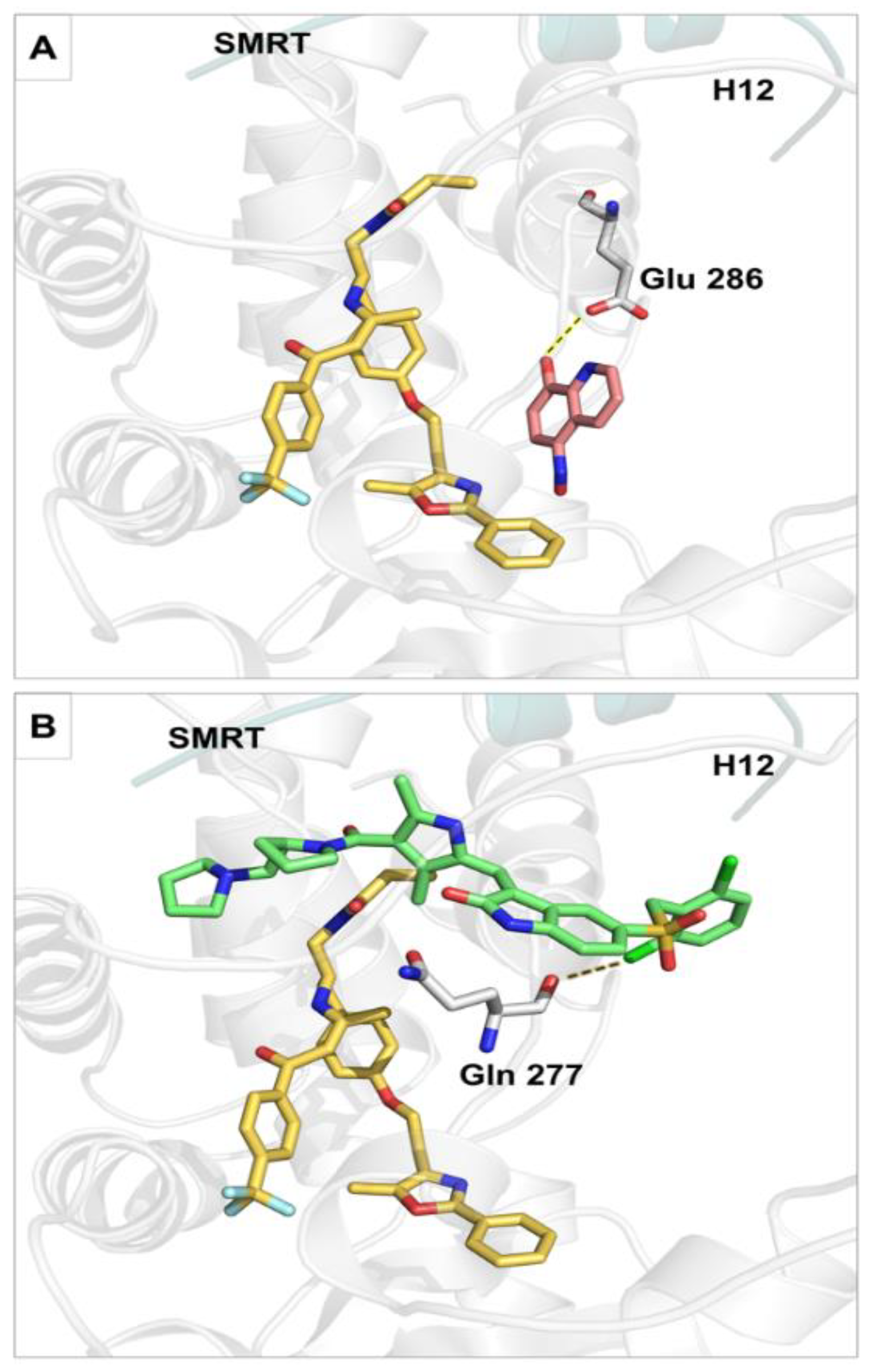 Ijms 26 00736 g006 Ijms 26 00736 g006