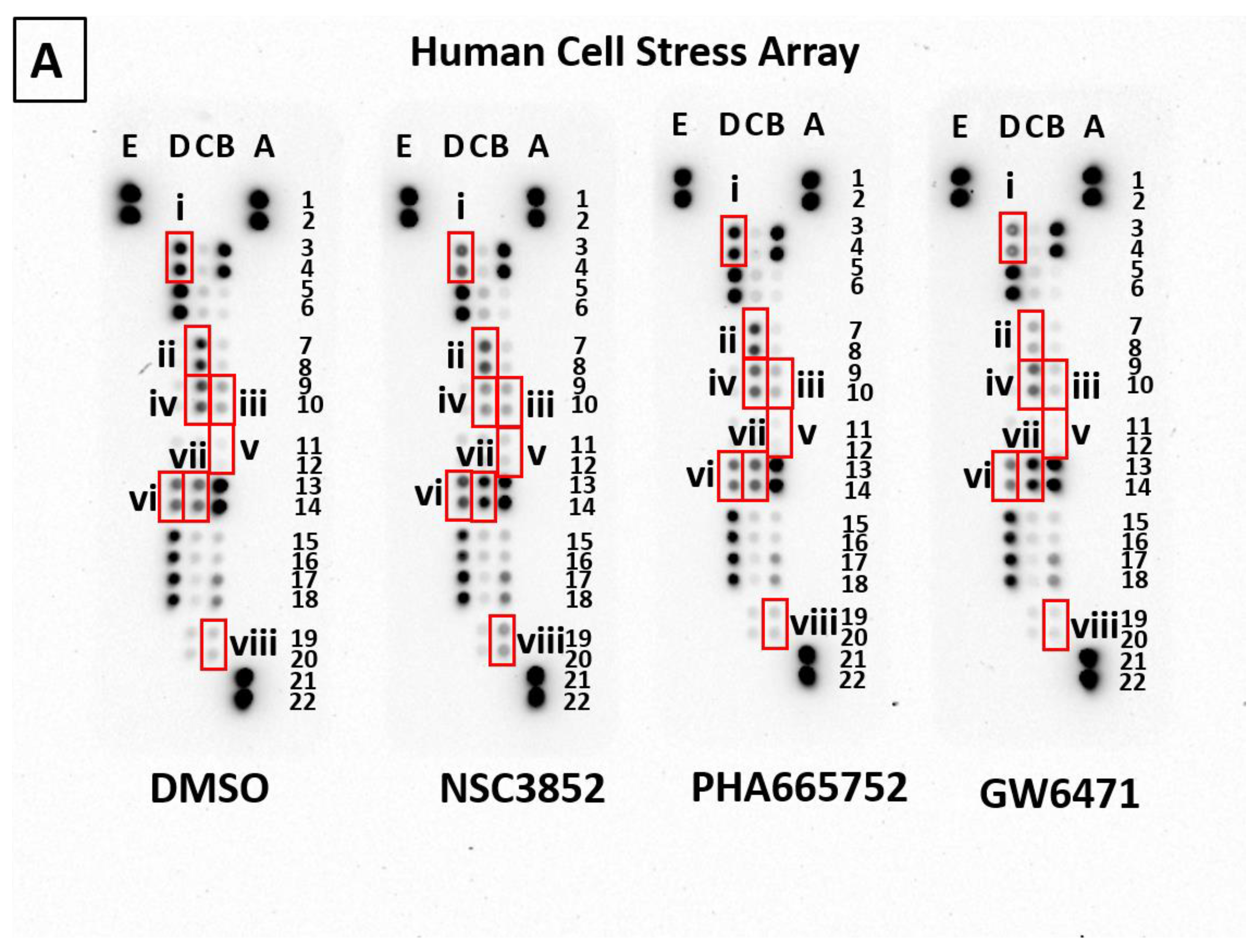 Ijms 26 00736 g010a Ijms 26 00736 g010a