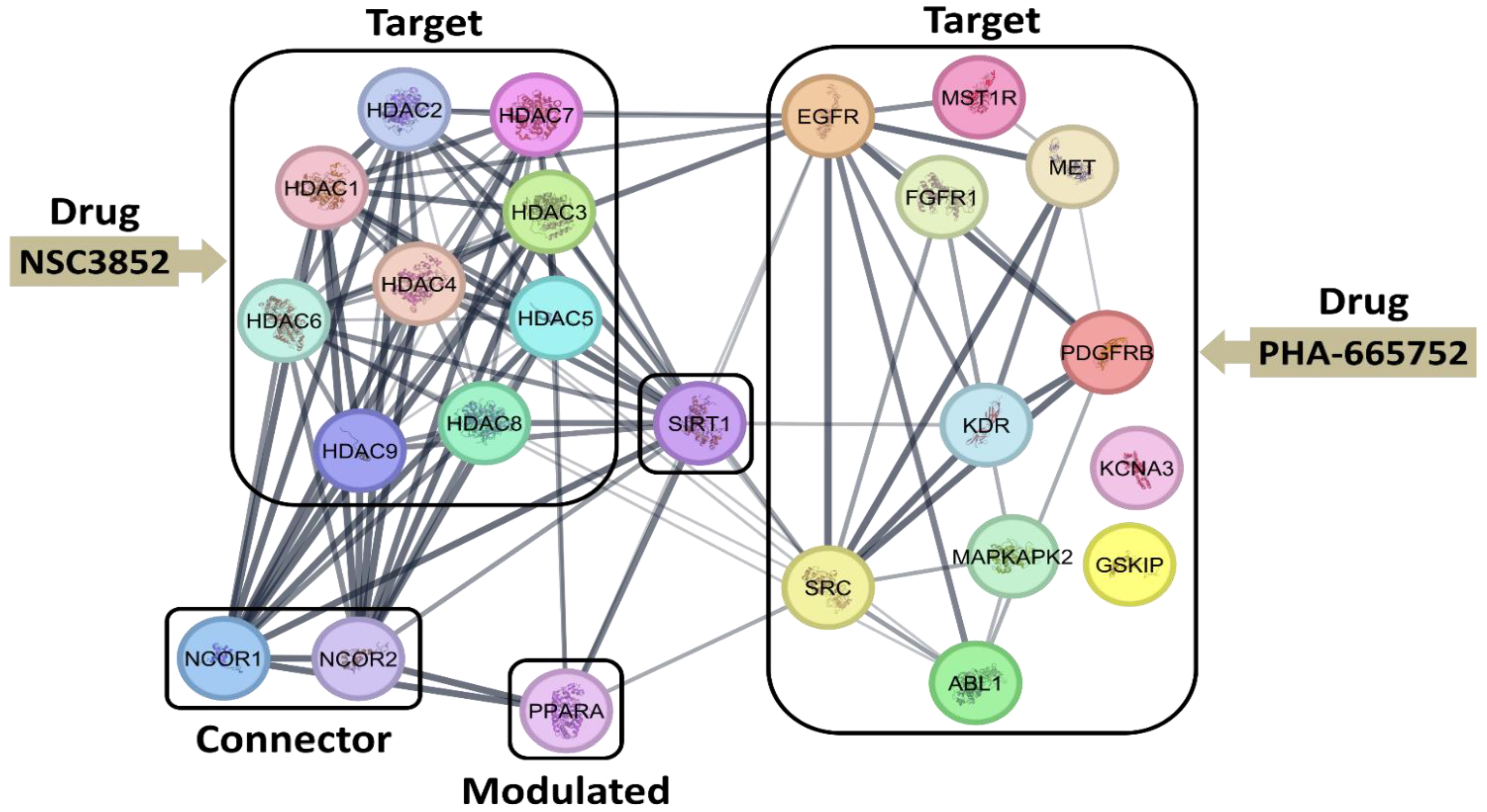 Ijms 26 00736 g013 Ijms 26 00736 g013