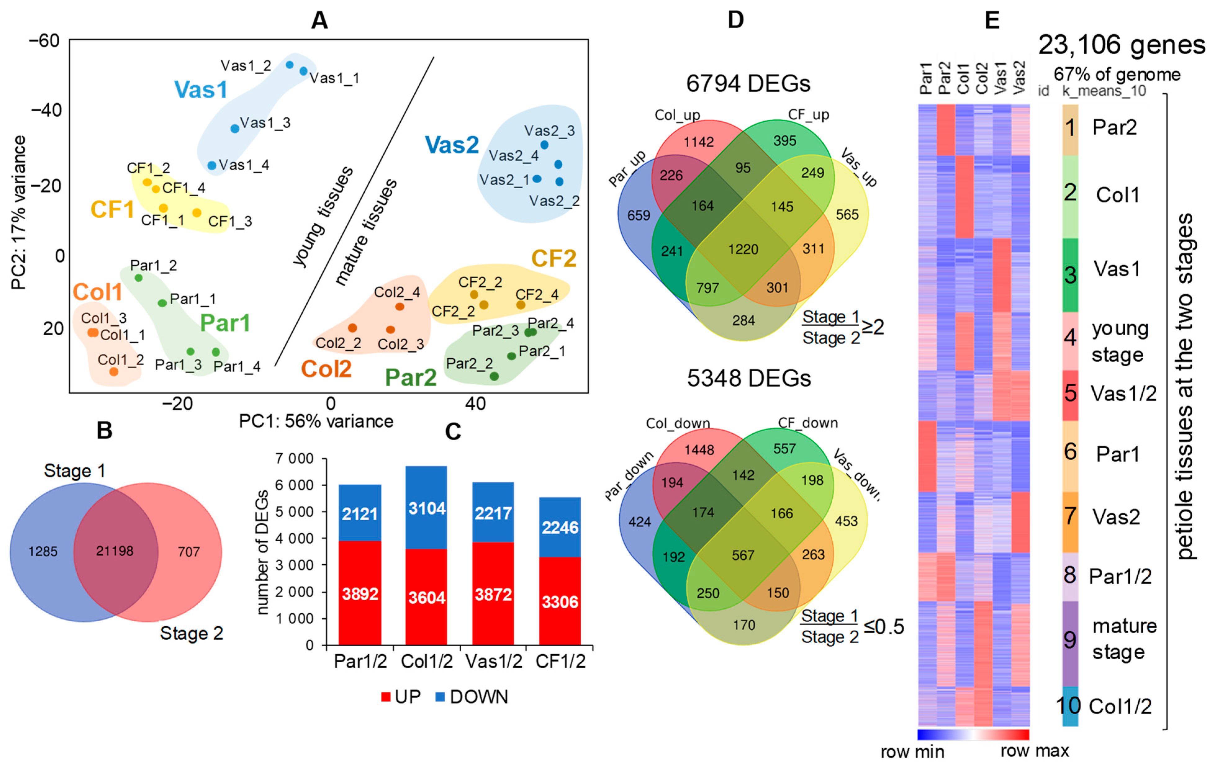 Ijms 26 00738 g005 Ijms 26 00738 g005