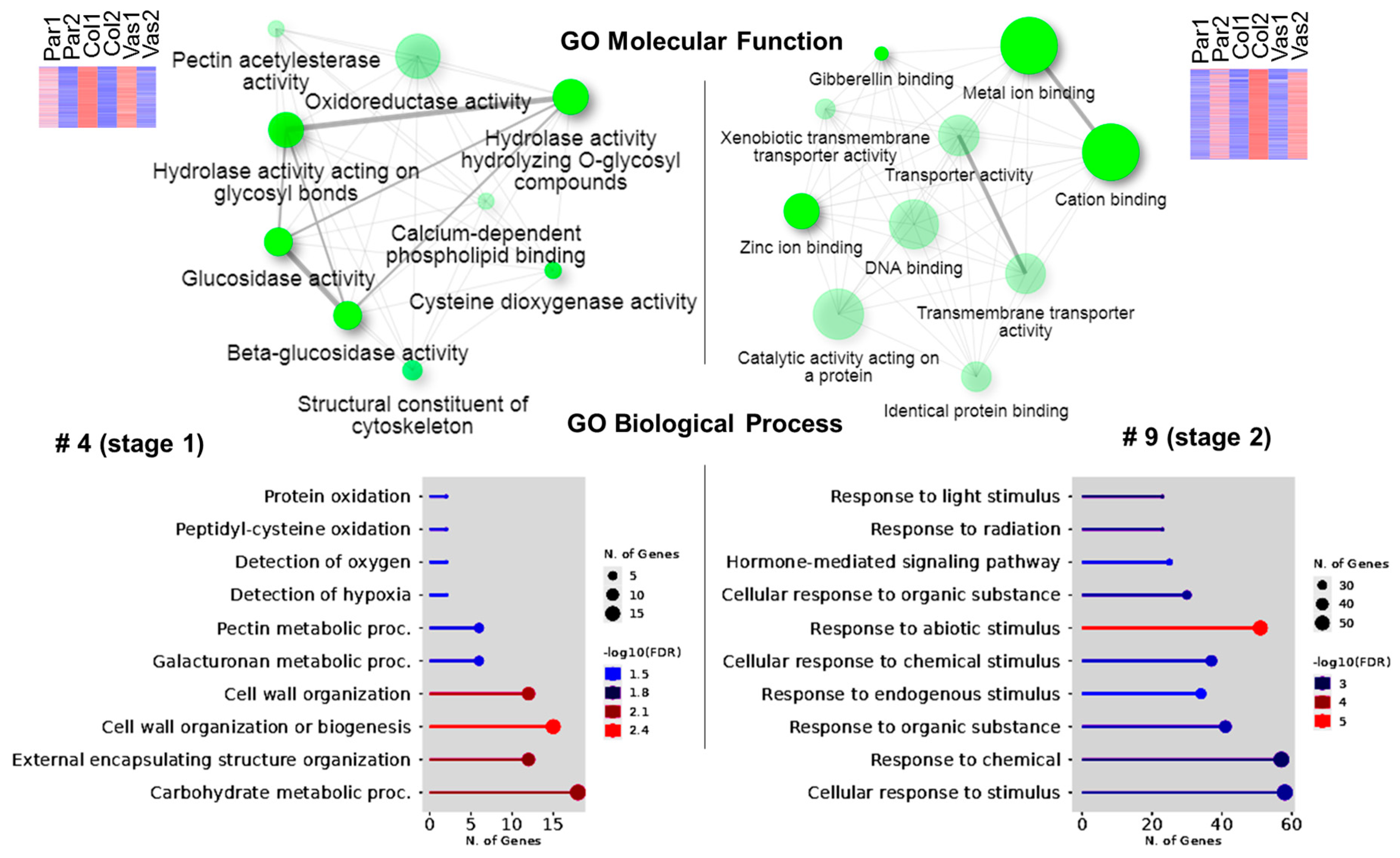 Ijms 26 00738 g006 Ijms 26 00738 g006
