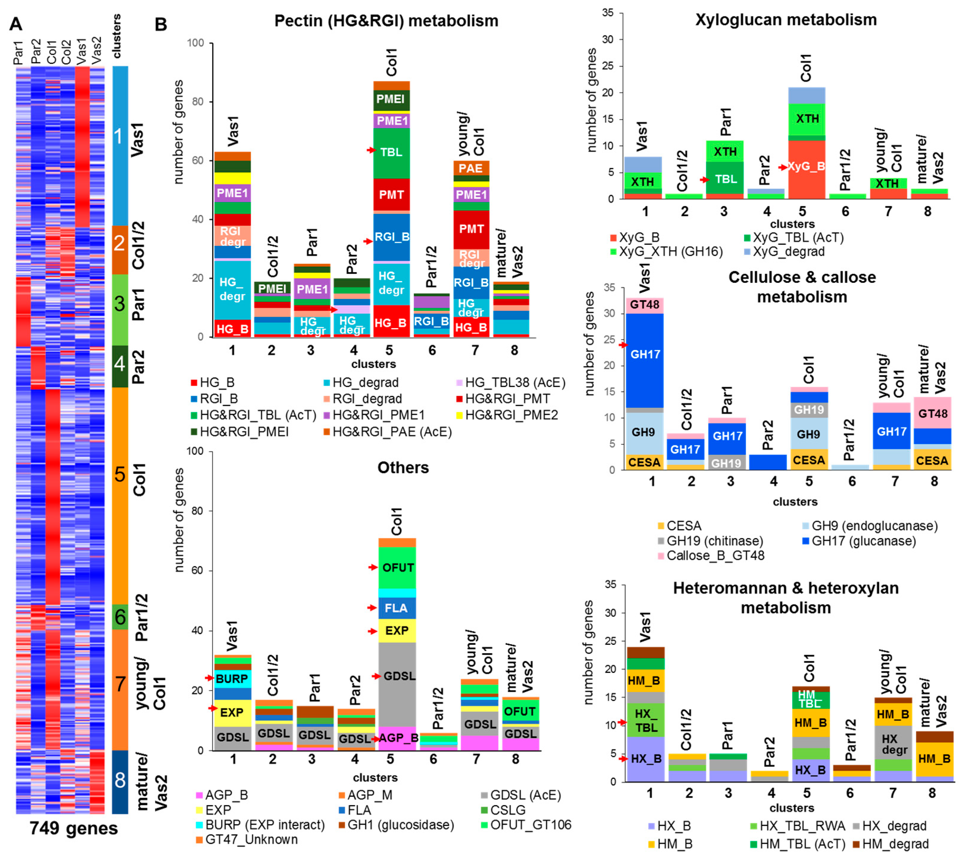 Ijms 26 00738 g007 Ijms 26 00738 g007