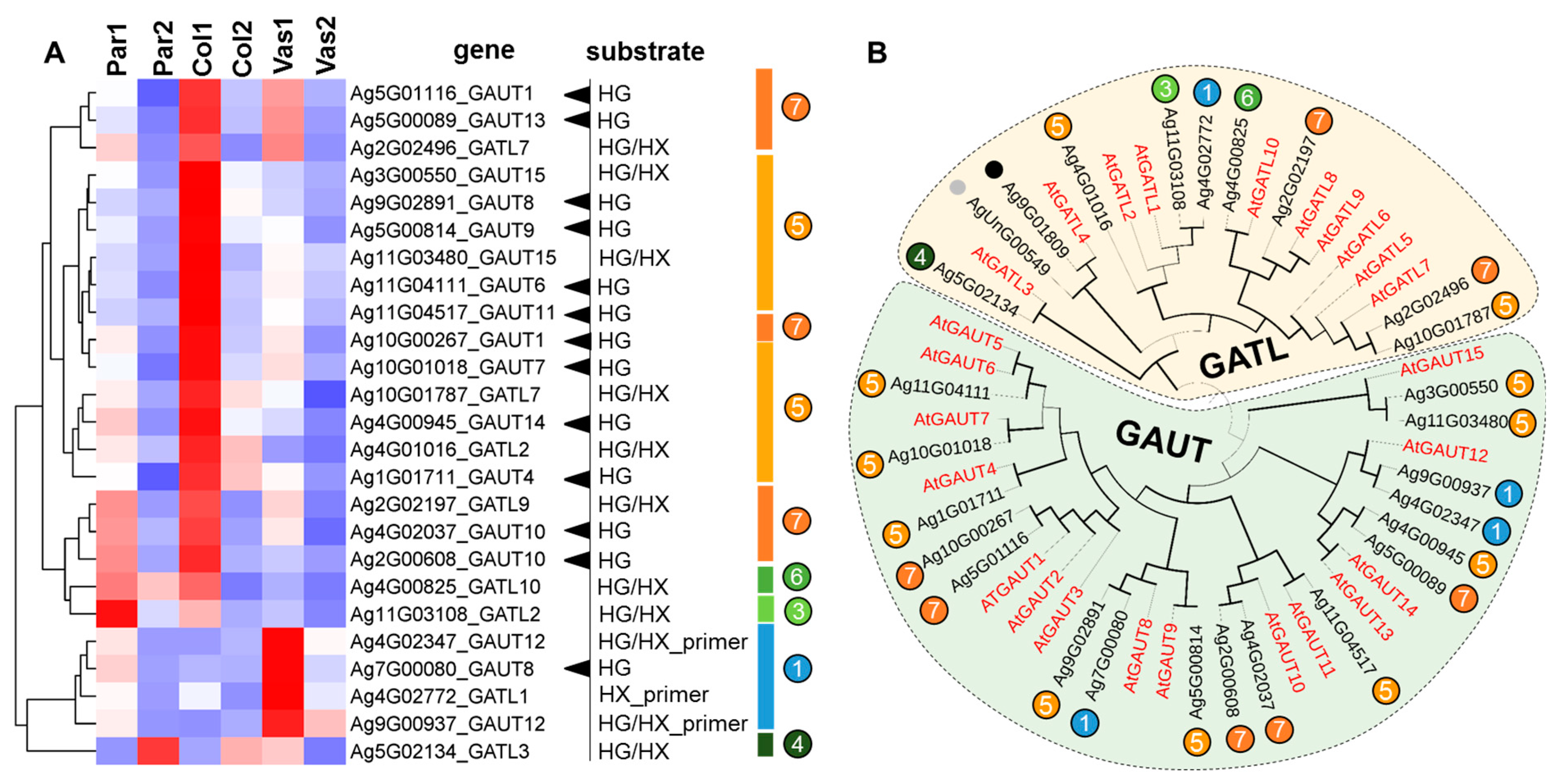 Ijms 26 00738 g008 Ijms 26 00738 g008