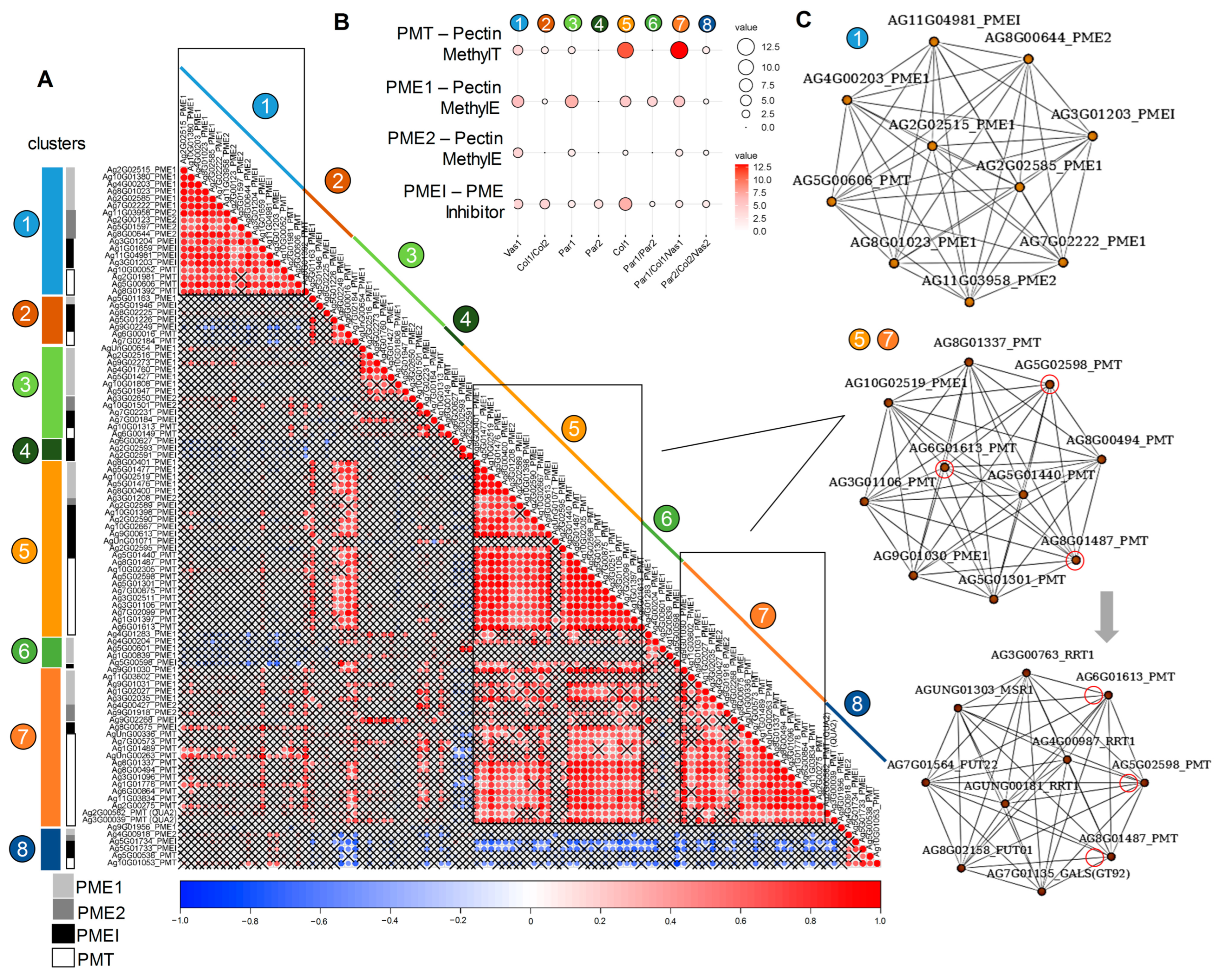 Ijms 26 00738 g010 Ijms 26 00738 g010