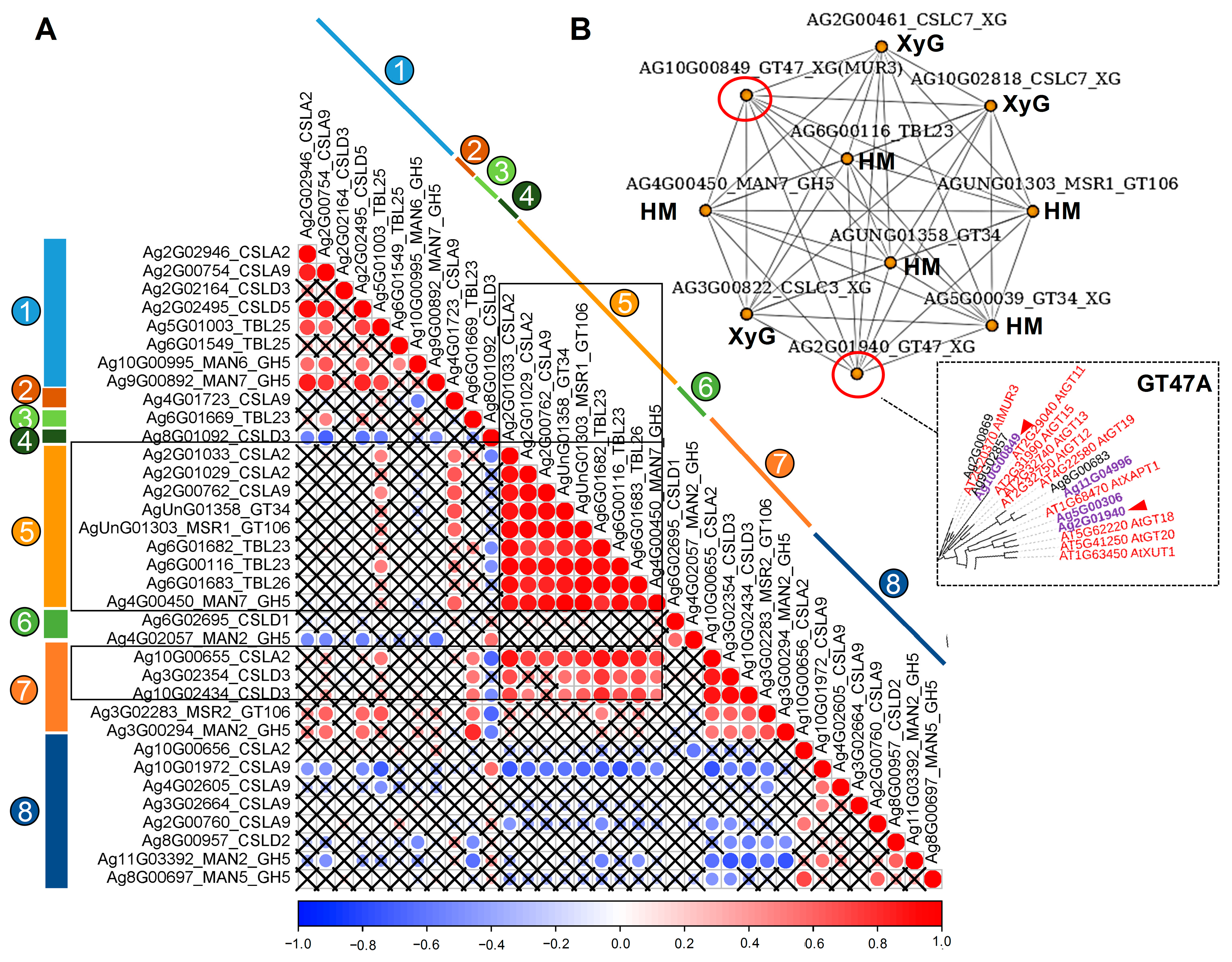 Ijms 26 00738 g012 Ijms 26 00738 g012