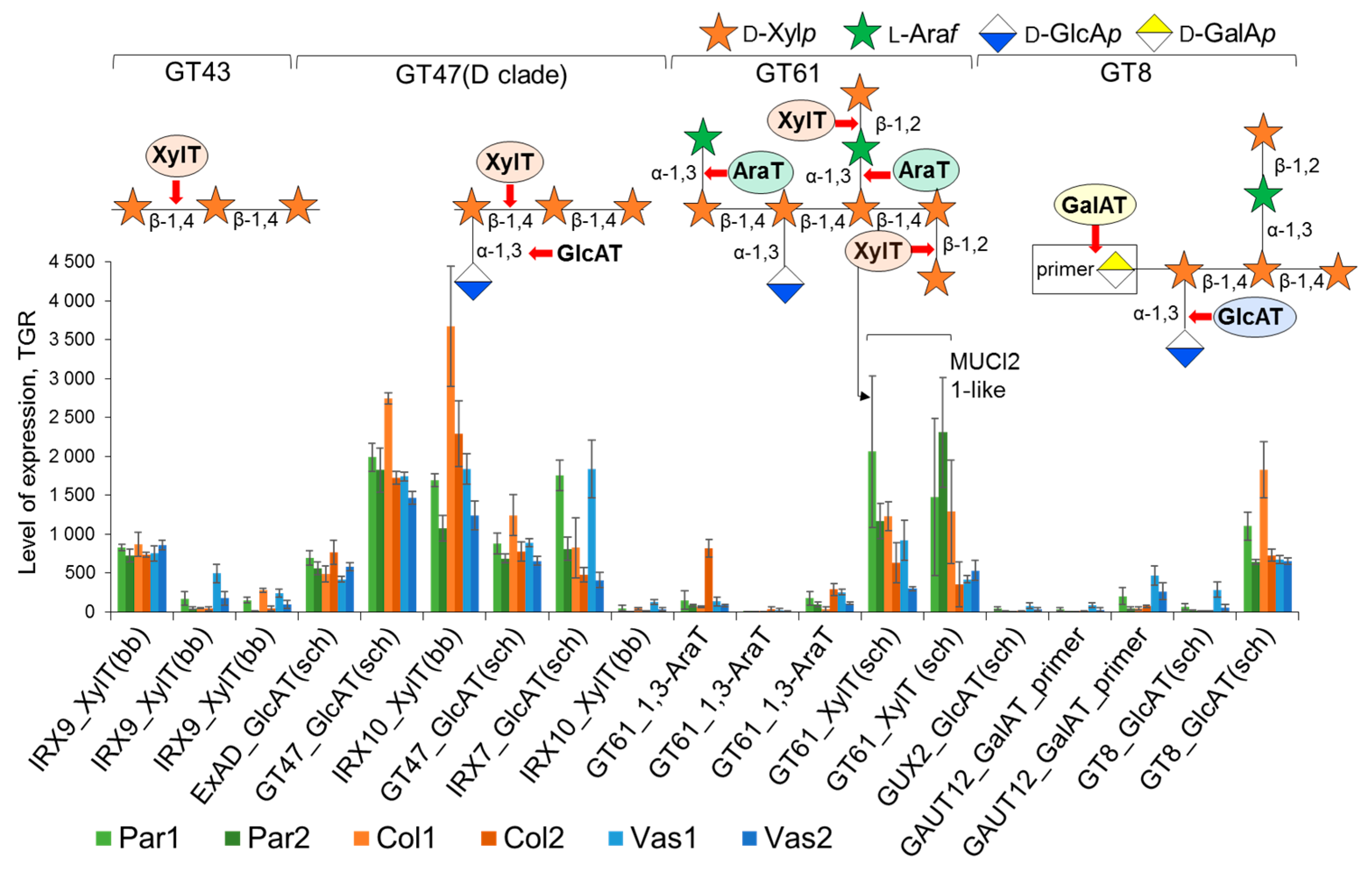 Ijms 26 00738 g013 Ijms 26 00738 g013