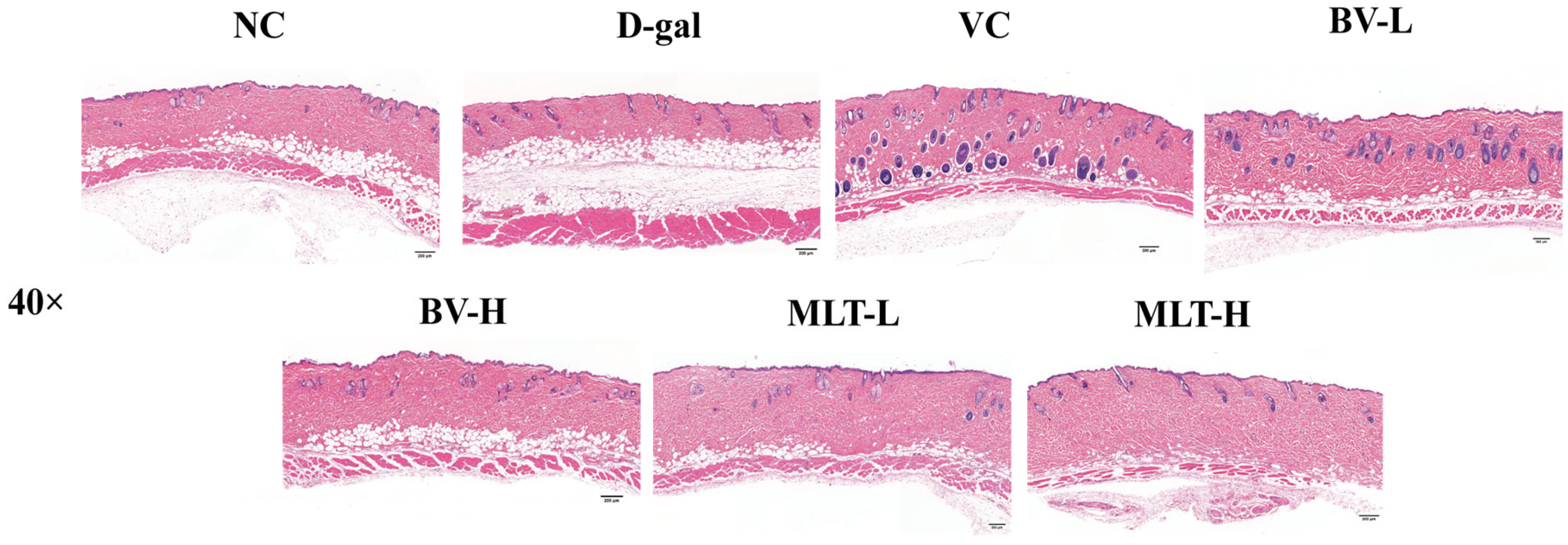Ijms 26 00742 g001 Ijms 26 00742 g001