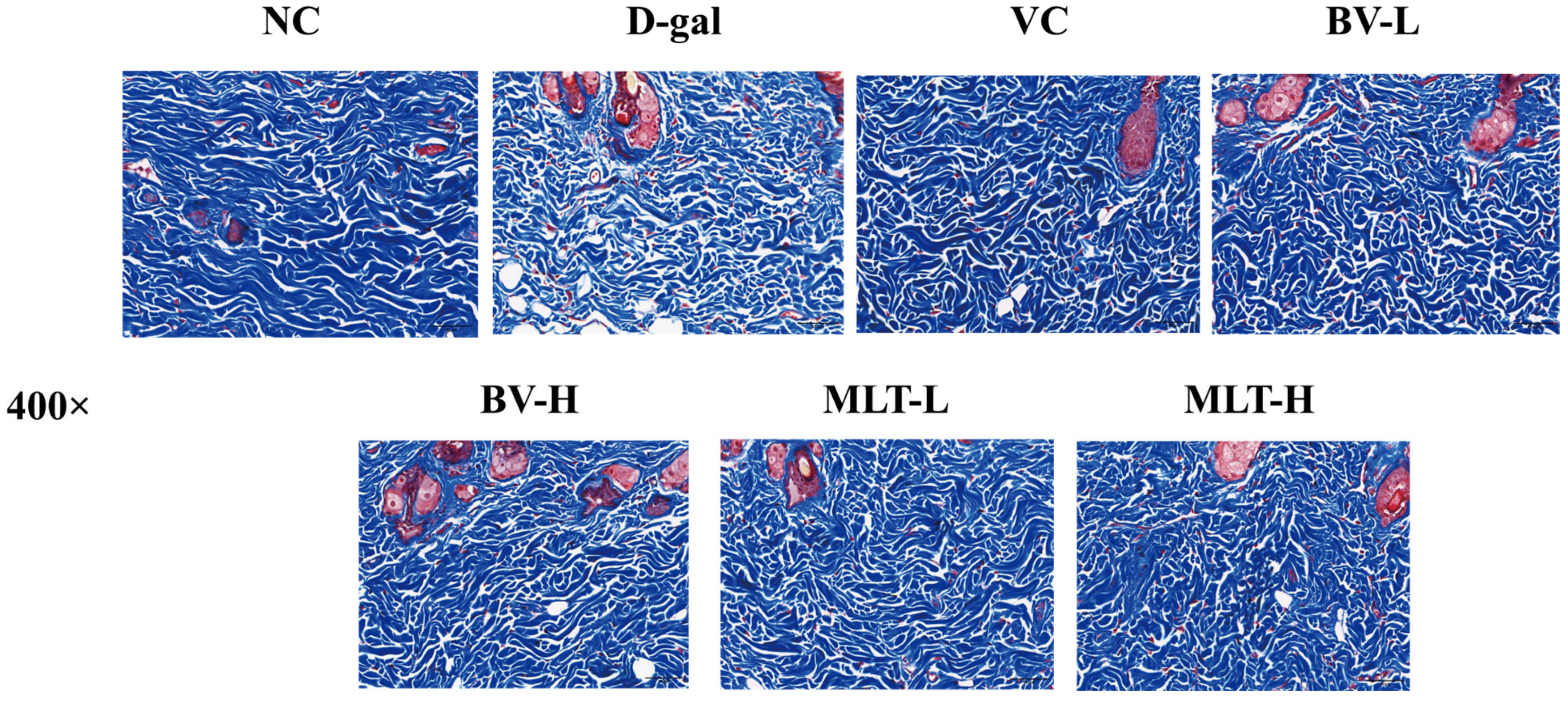 Ijms 26 00742 g002 Ijms 26 00742 g002
