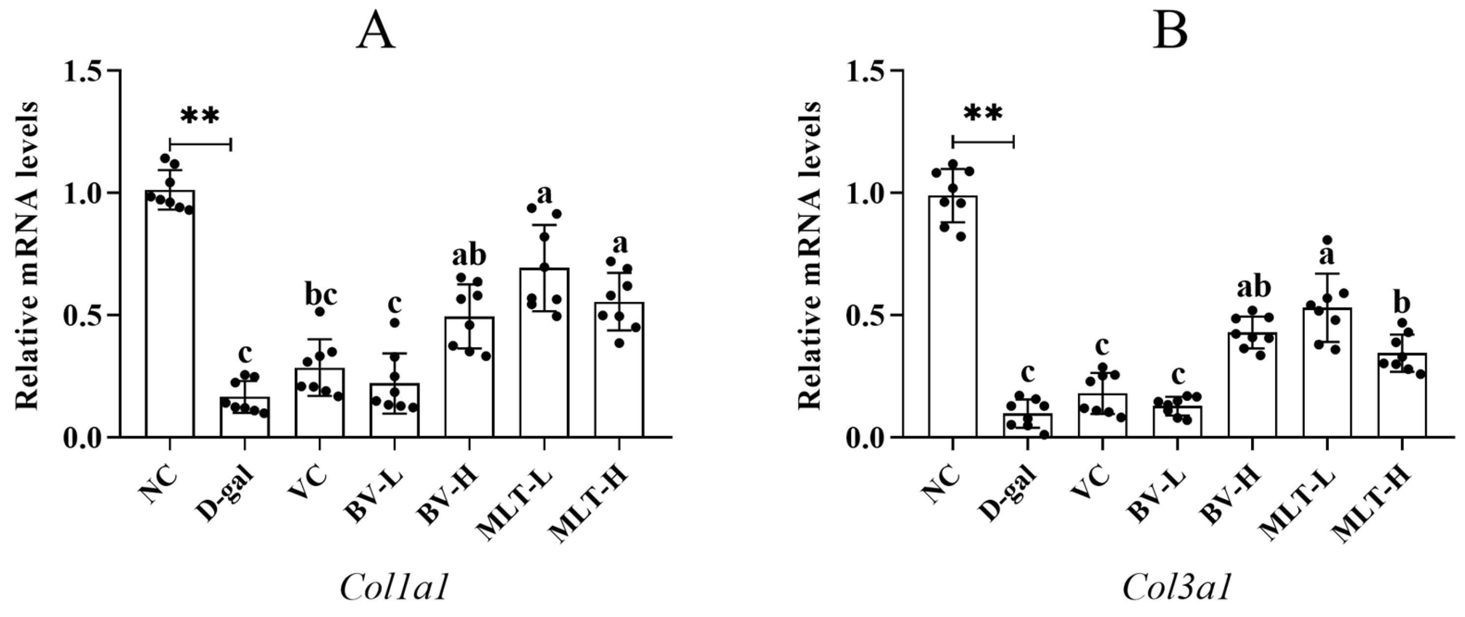 Ijms 26 00742 g004 Ijms 26 00742 g004