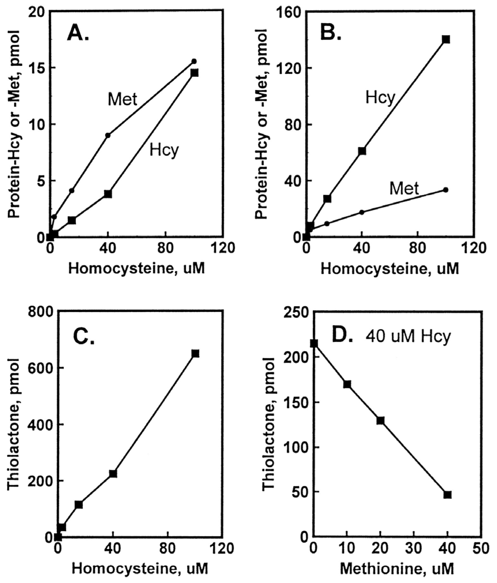 Ijms 26 00746 g003 Ijms 26 00746 g003