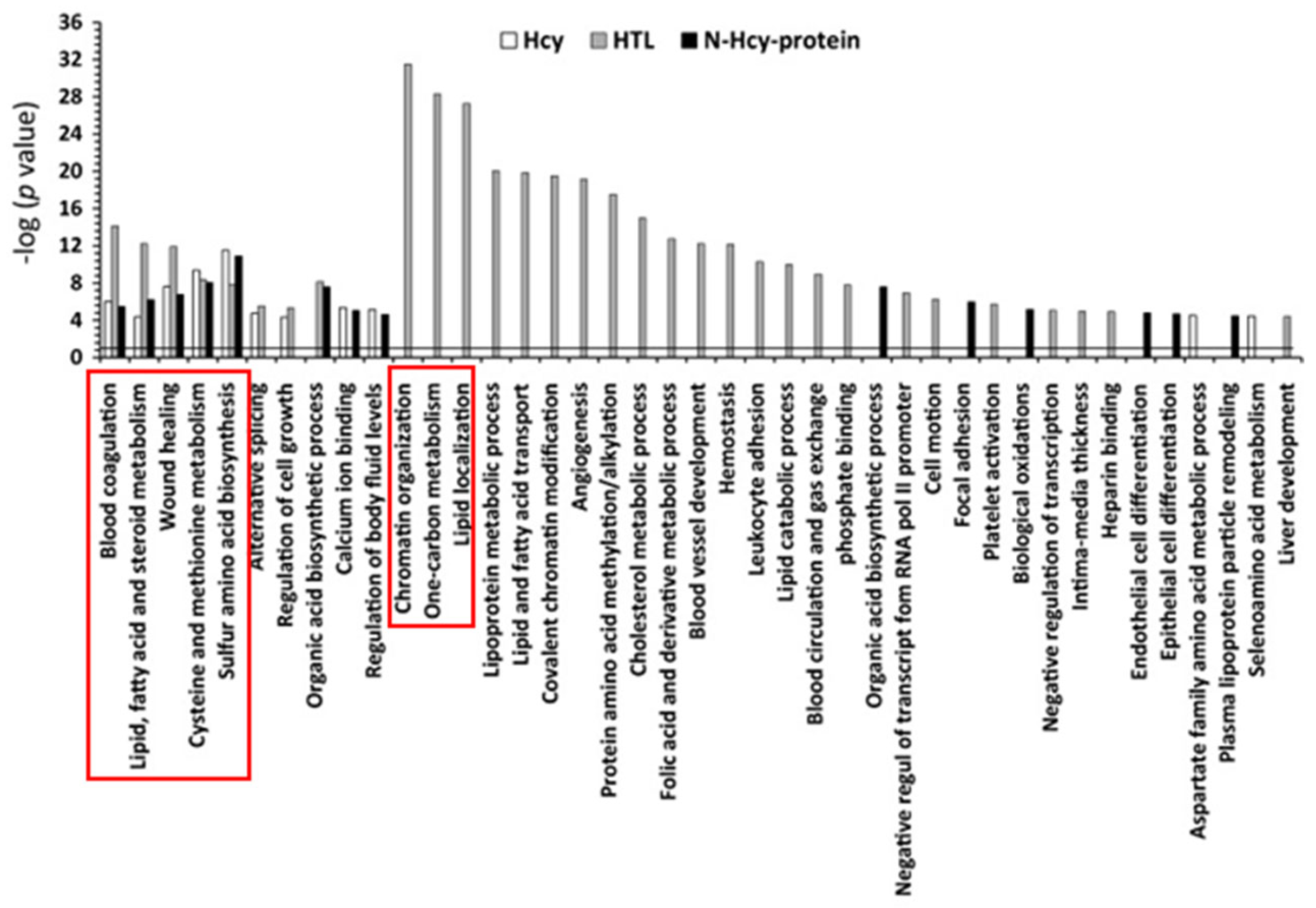 Ijms 26 00746 g006 Ijms 26 00746 g006