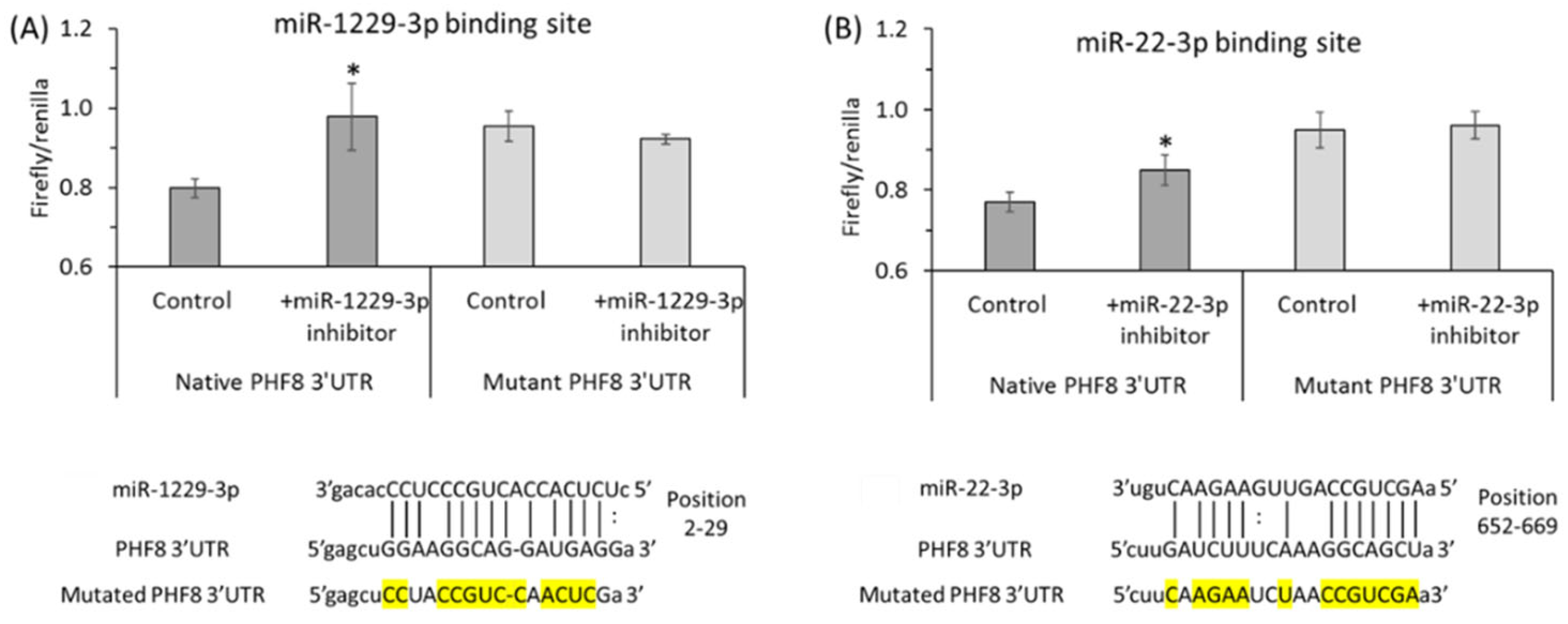 Ijms 26 00746 g009 Ijms 26 00746 g009