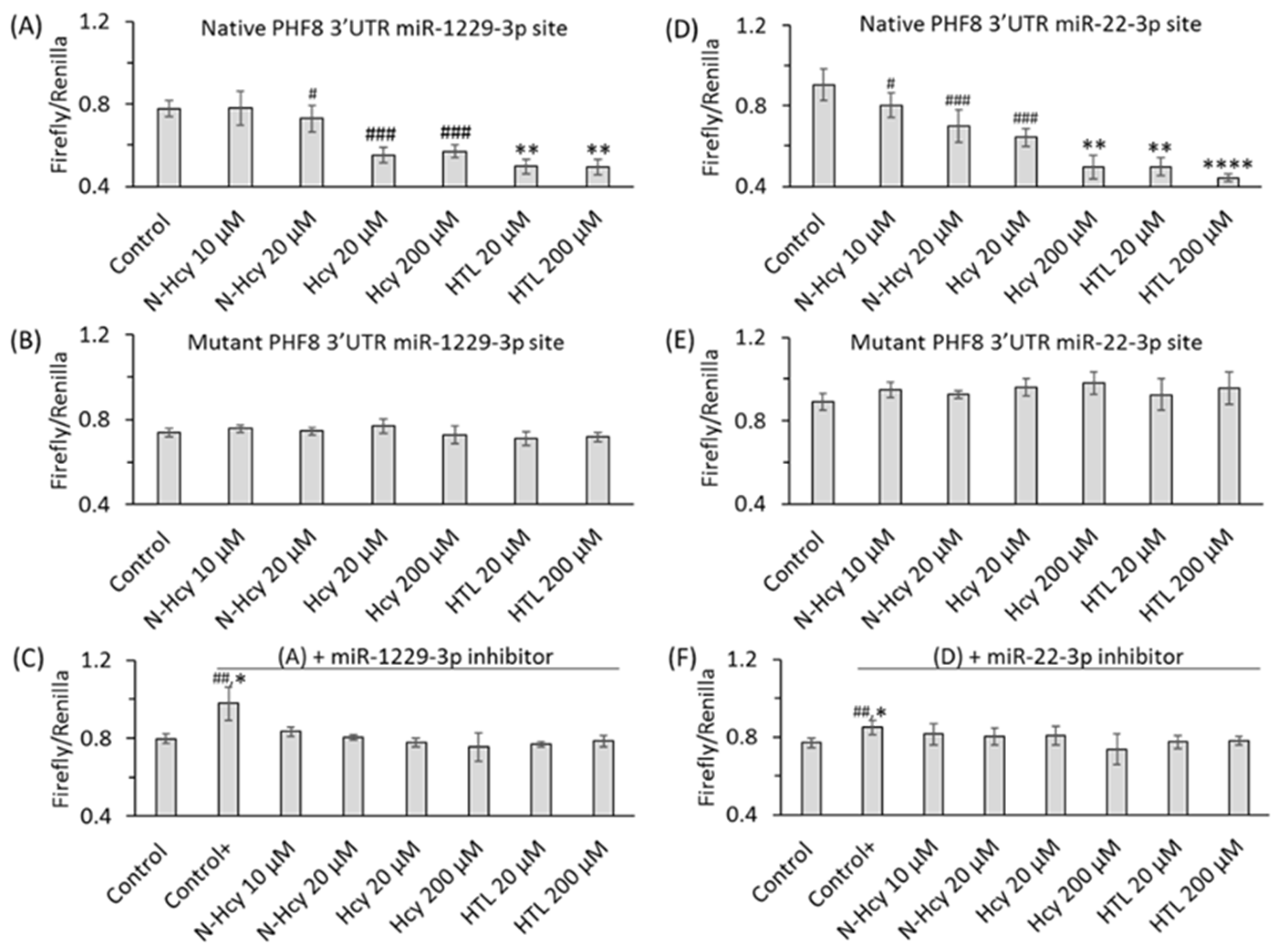 Ijms 26 00746 g010 Ijms 26 00746 g010