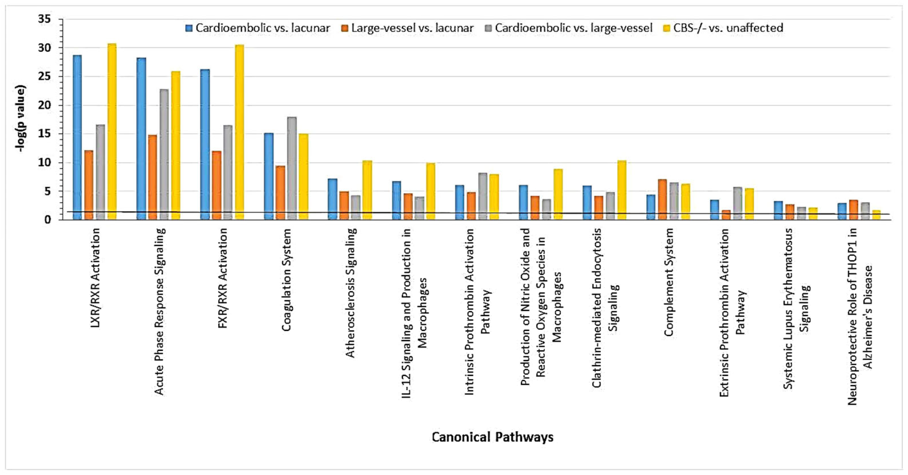 Ijms 26 00746 g016 Ijms 26 00746 g016
