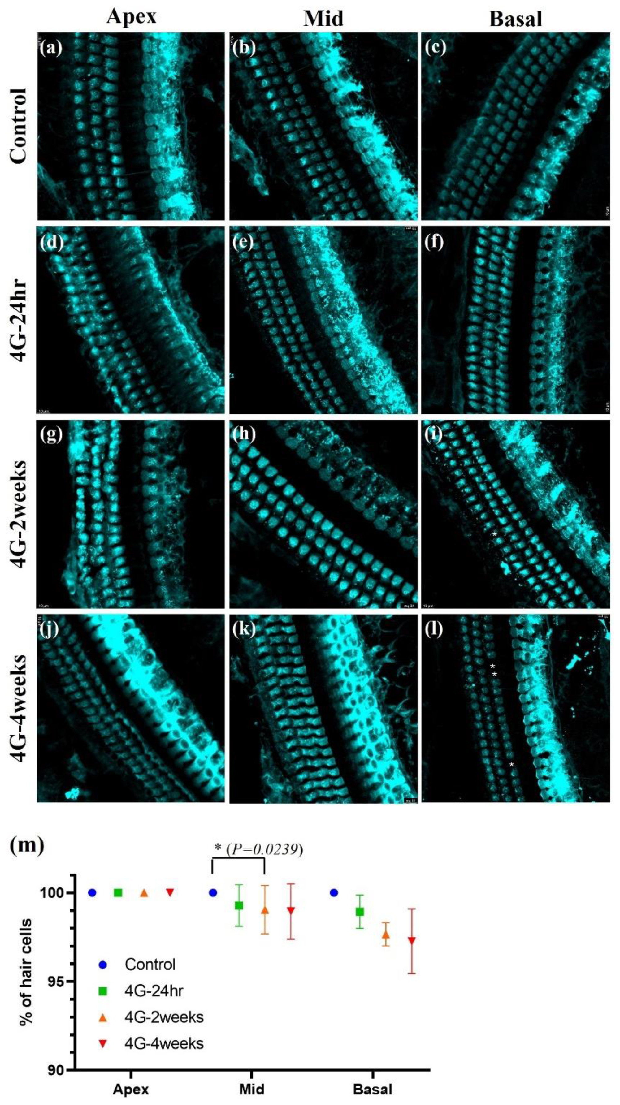 Ijms 26 00758 g004 Ijms 26 00758 g004
