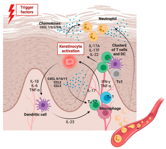 Vascular Cell Adhesion Molecule 1 and E-Selectin as Potential ...