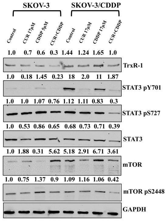Re-Sensitization of Resistant Ovarian Cancer SKOV3/CDDP Cells to ...