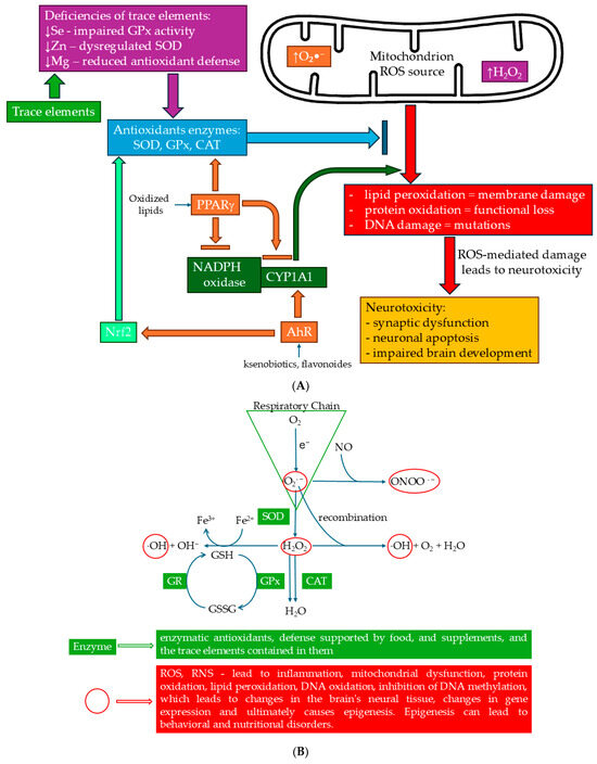 transdermal glutathione autism The Role of Nutrition, Oxidative Stress, and Trace Elements in the  Pathophysiology of Autism Spectrum Disorders