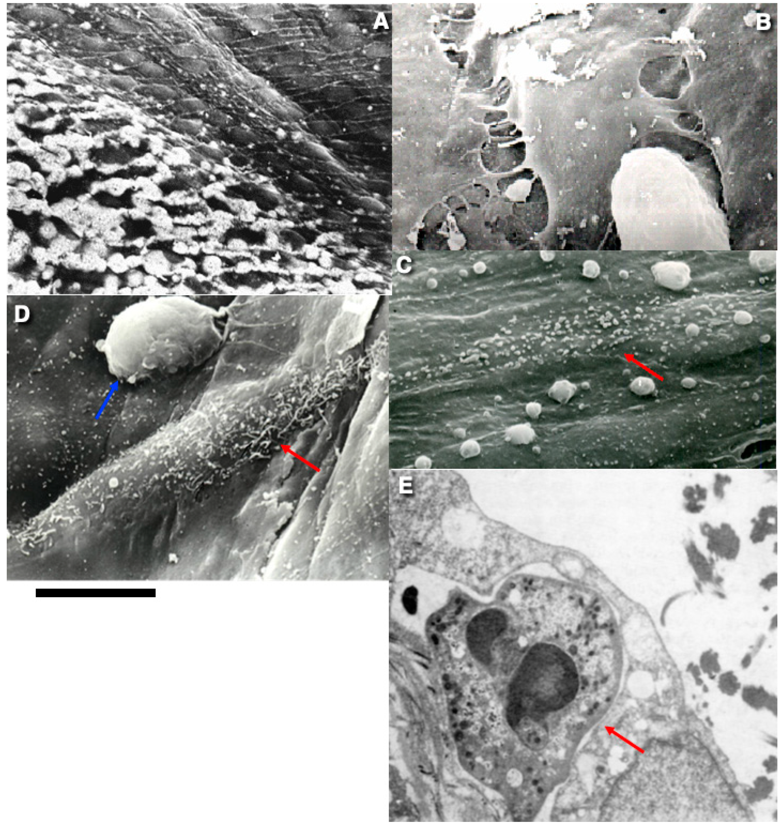 Ijms 26 00837 g003 Ijms 26 00837 g003