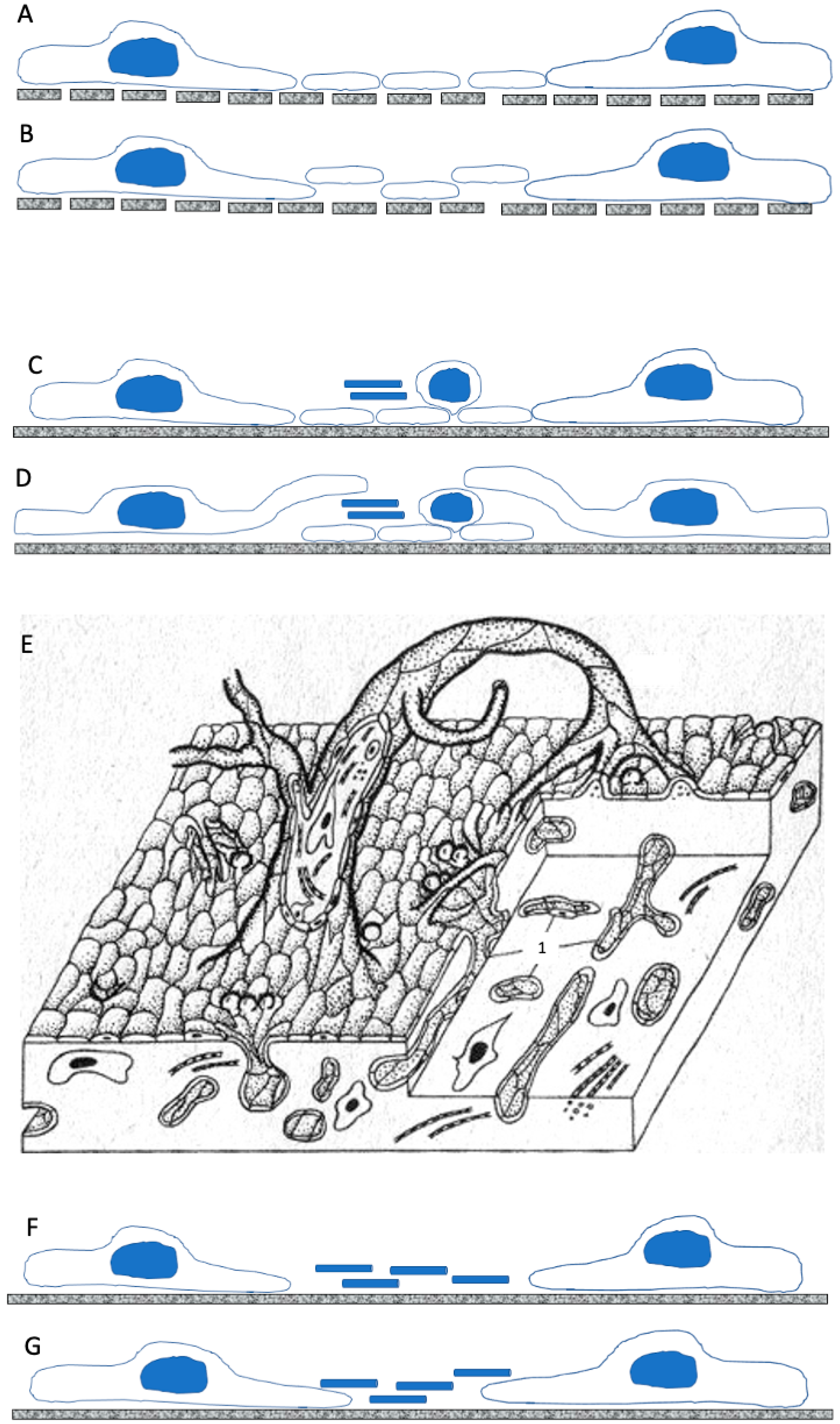 Ijms 26 00837 g004 Ijms 26 00837 g004