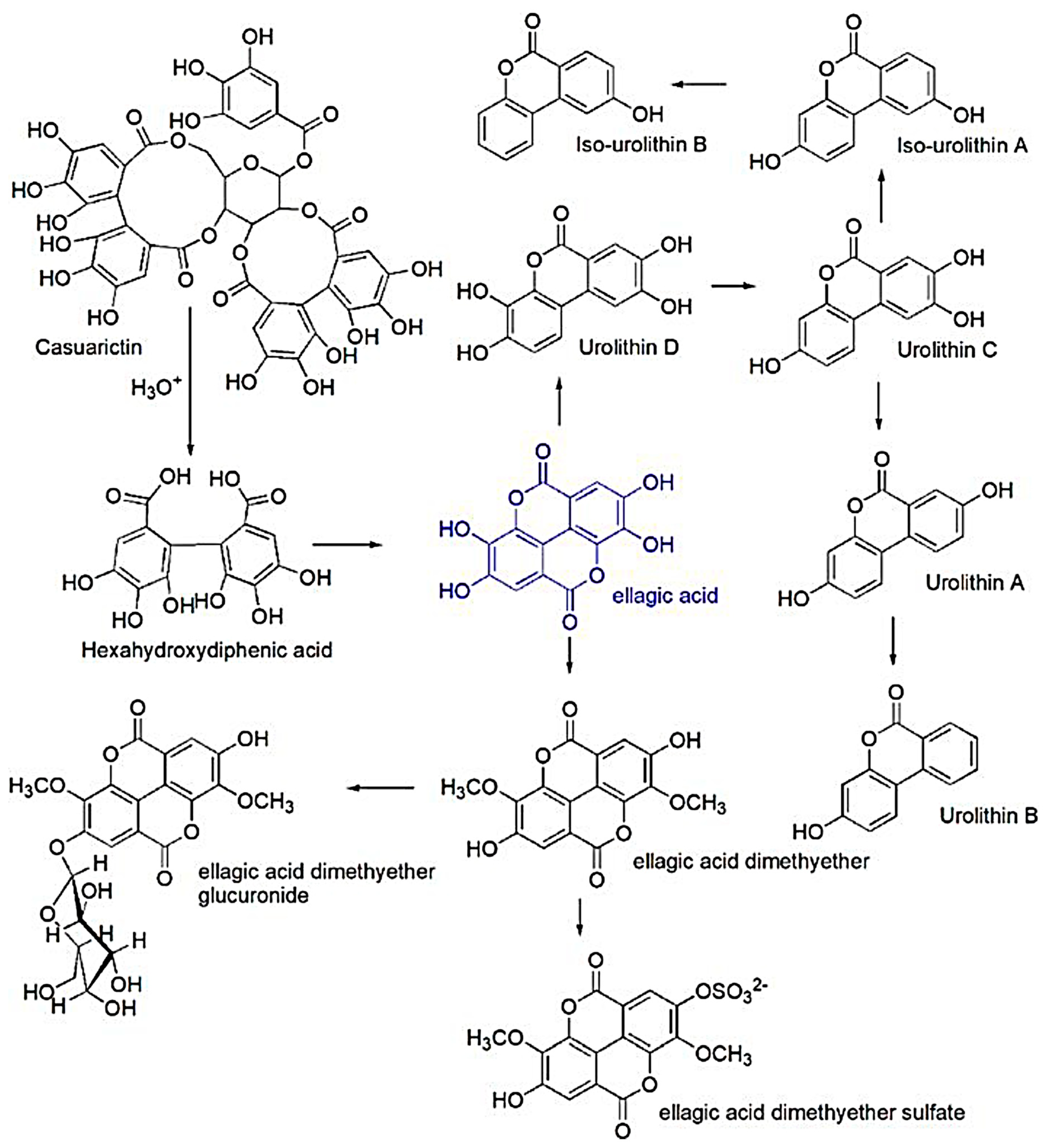 Ijms 26 00844 sch001