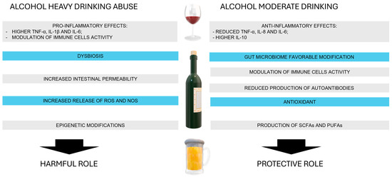Alcohol Consumption and Autoimmune Diseases