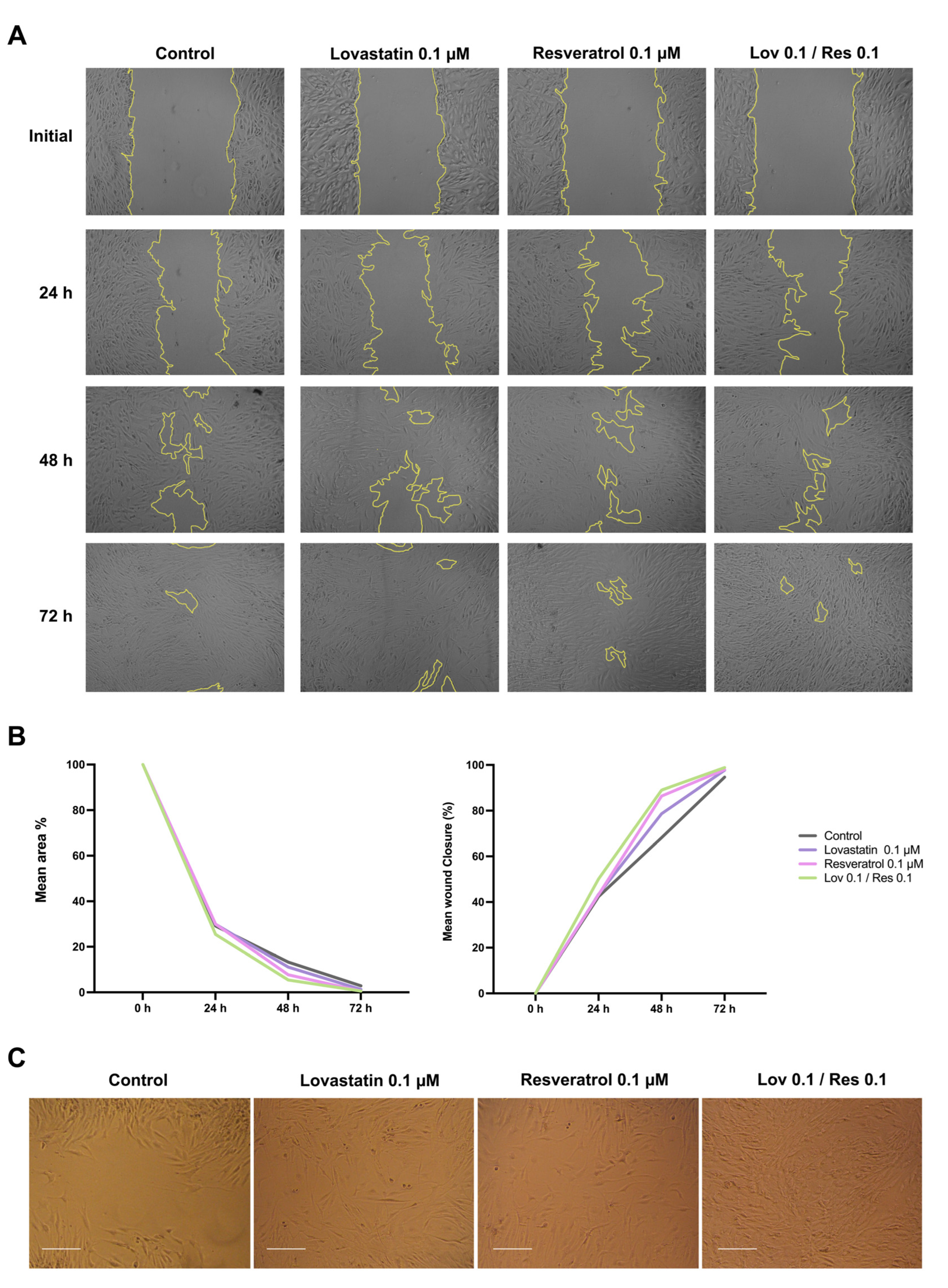 Ijms 26 00851 g006 Ijms 26 00851 g006
