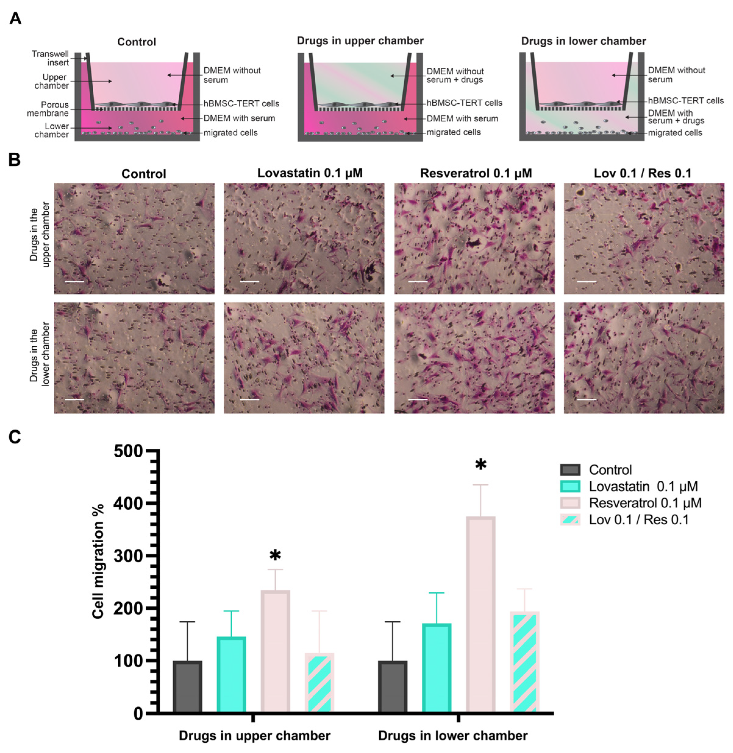 Ijms 26 00851 g007 Ijms 26 00851 g007